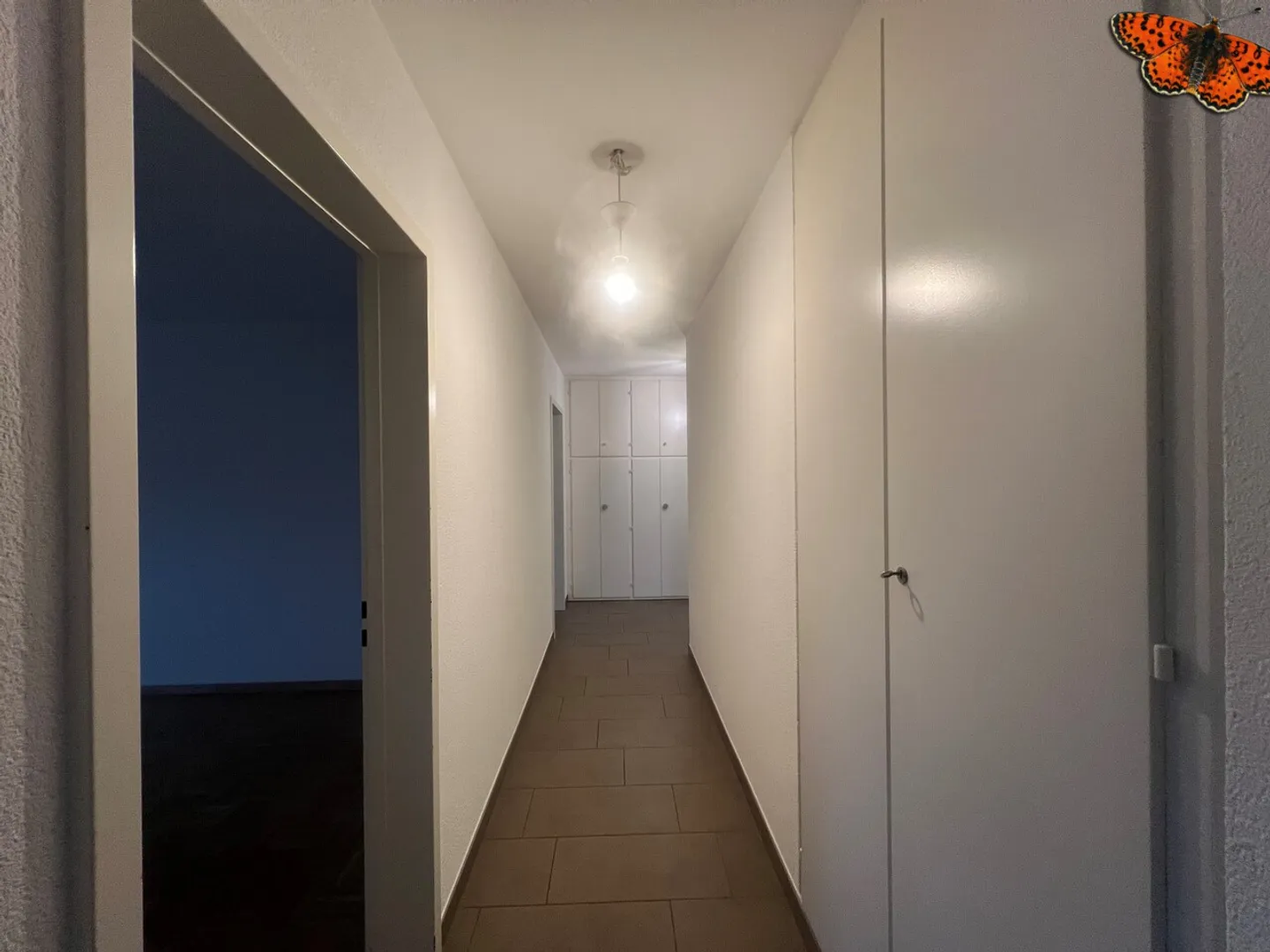 4 ZIMMER - STADTZENTRUM VON BULLE - Foto 4 von 12