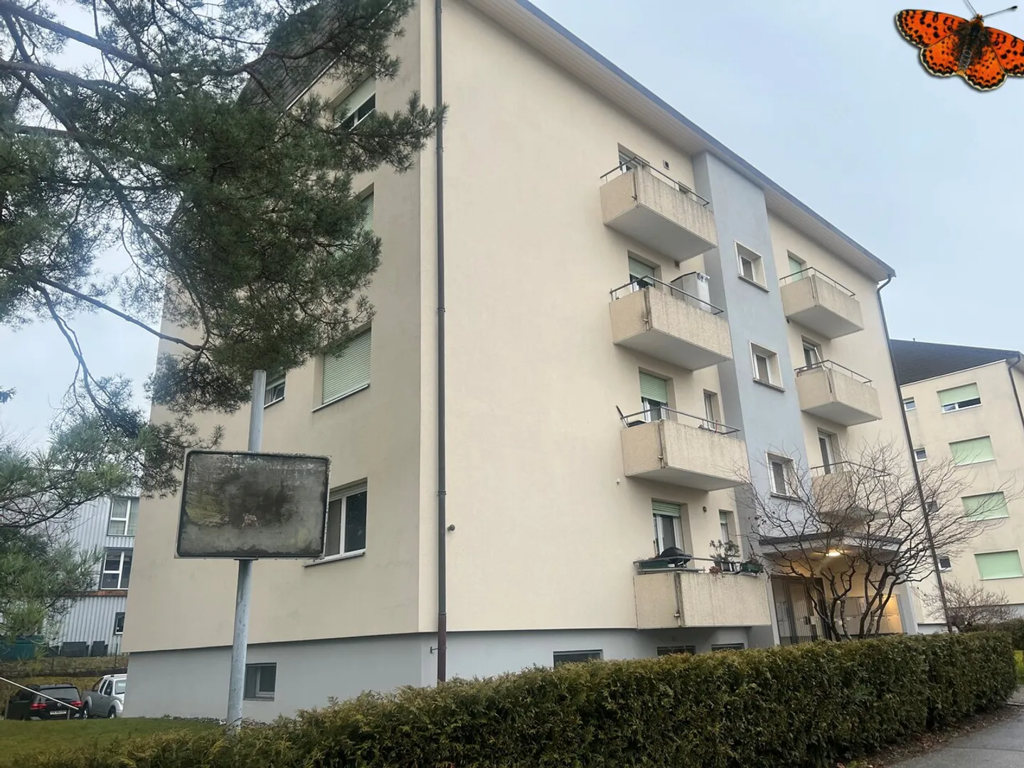 4 ZIMMER - STADTZENTRUM VON BULLE - Foto 9 von 12