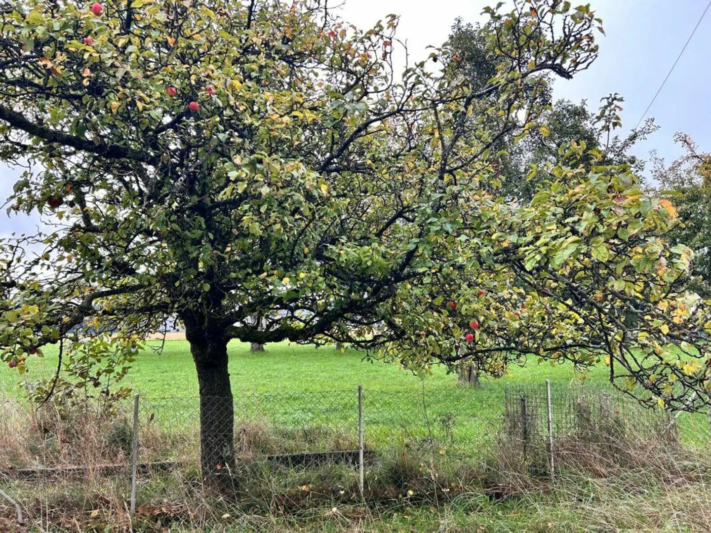 Maison individuelle avec d'innombrables possibilités, adaptée pour un privé... - Photo 9 sur 9