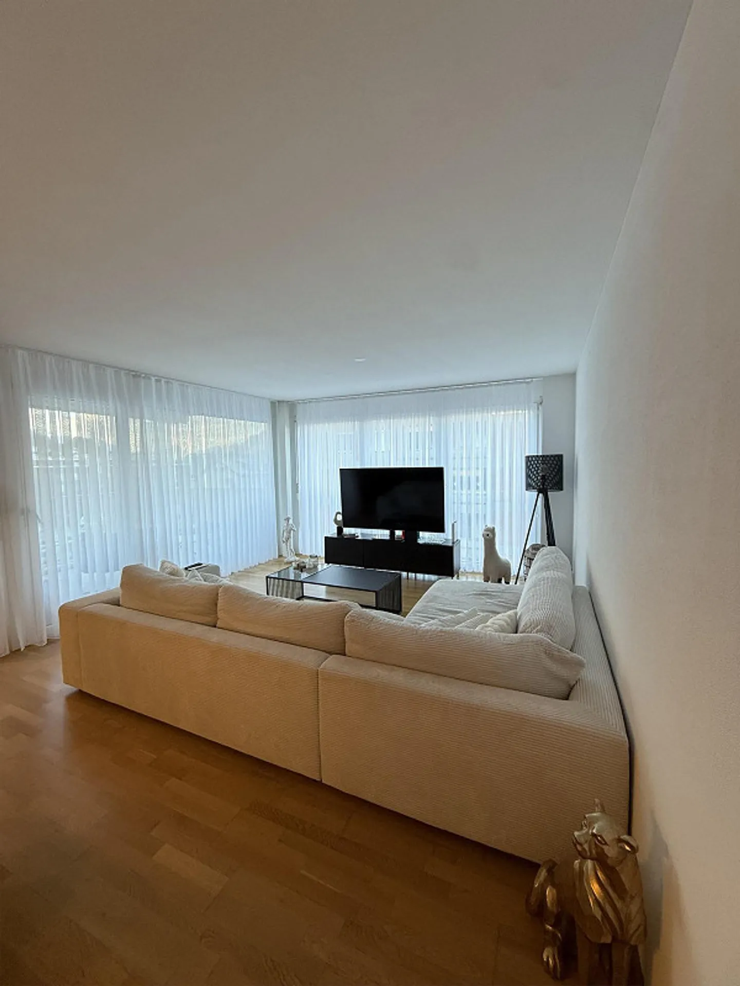 Appartamento 3,5 stanze - Foto 2 di 7