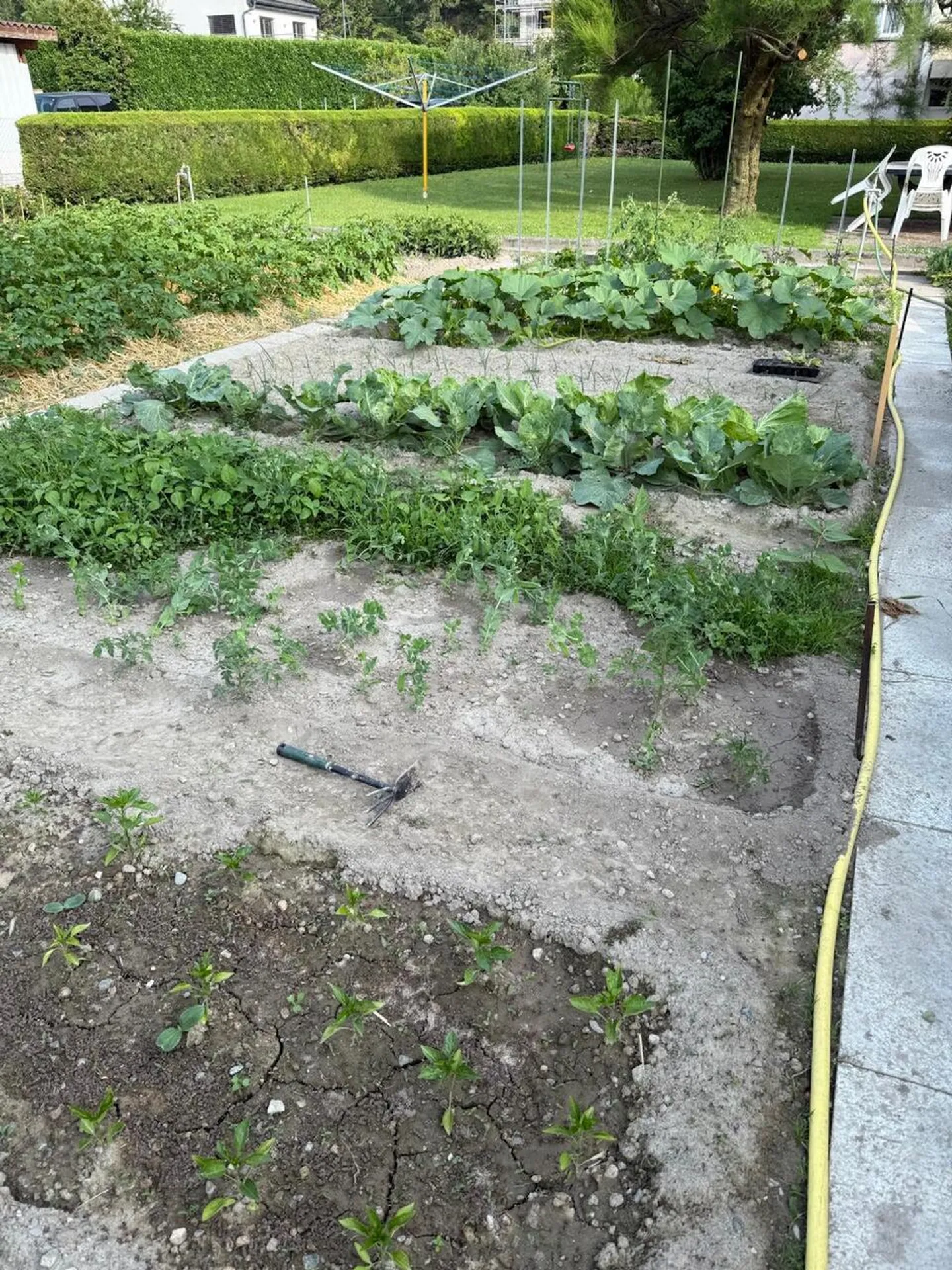 Charmant appartement 4.5 pièces avec jardin à Chippis - Photo 11 sur 12