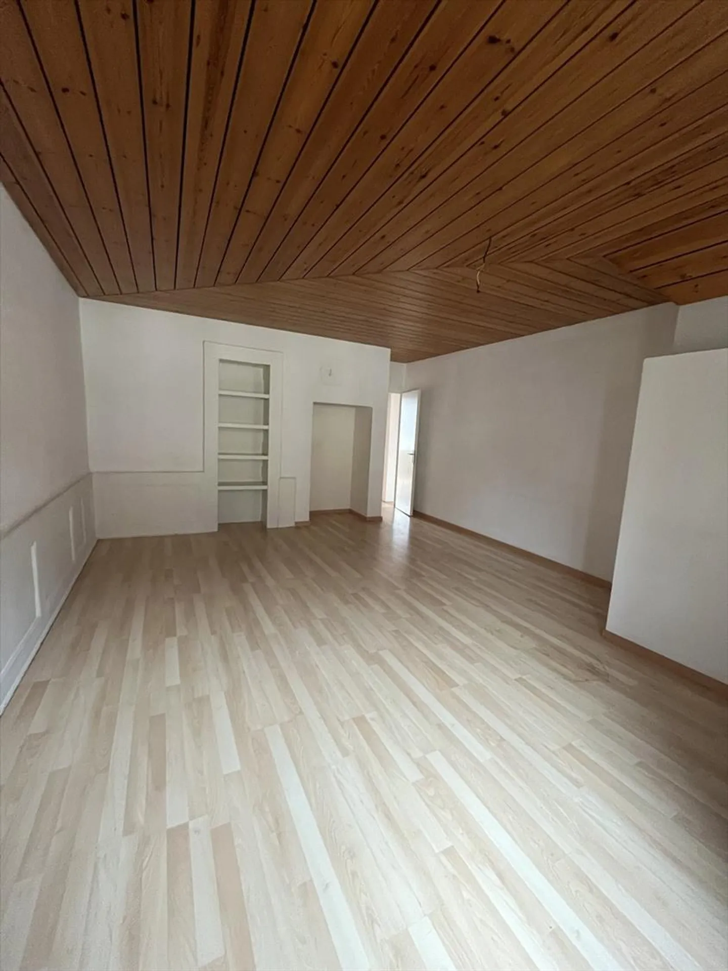GRANDE APPARTAMENTO DI 5,5 STANZE CON CAMINO E PARQUET - Foto 3 di 6