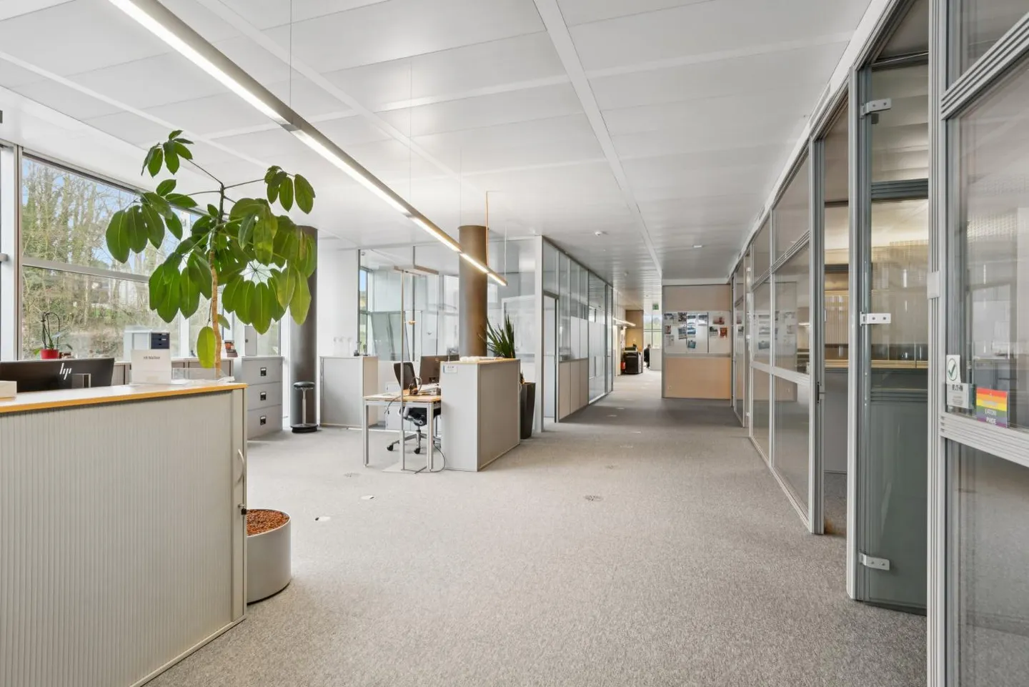 Furnished offices for rent in Morges - Area of 1,695 m2 - Photo 7 of 13