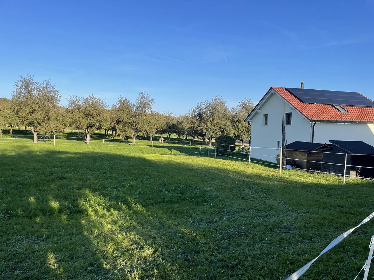 Charmantes Tiny House in Sommeri - Foto 8 von 12