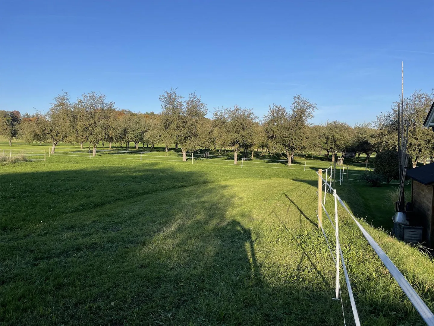 Charmantes Tiny House in Sommeri - Foto 7 von 12