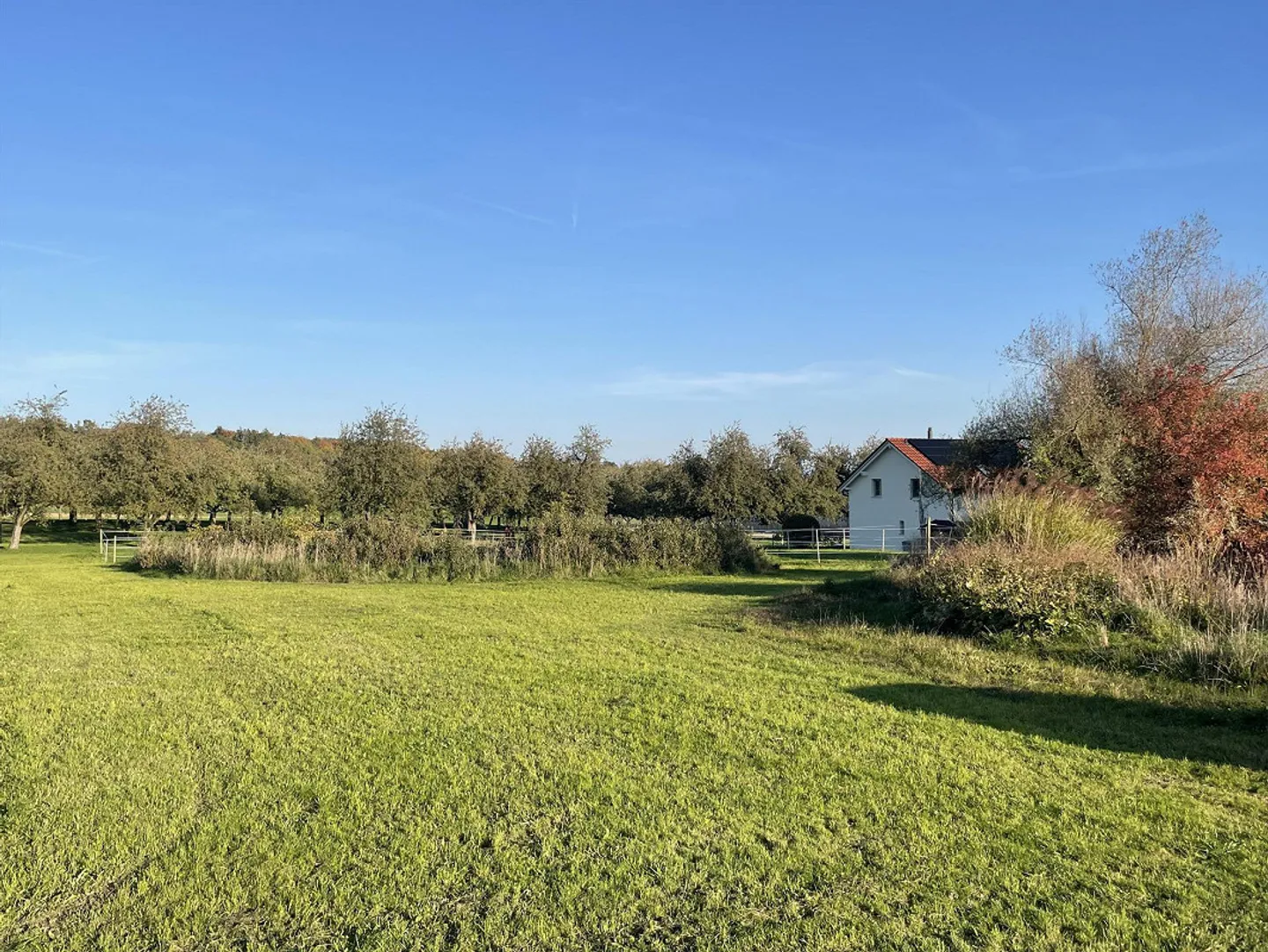 Charmantes Tiny House in Sommeri - Foto 9 von 12