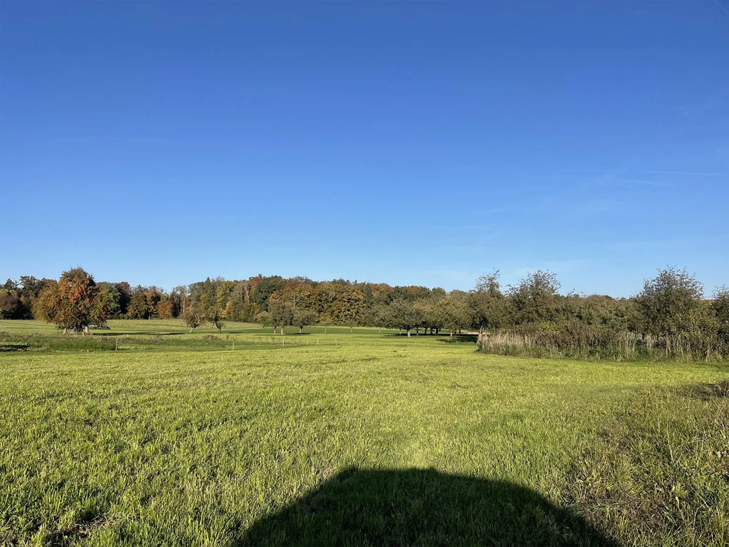 Charmantes Tiny House in Sommeri - Foto 10 von 12