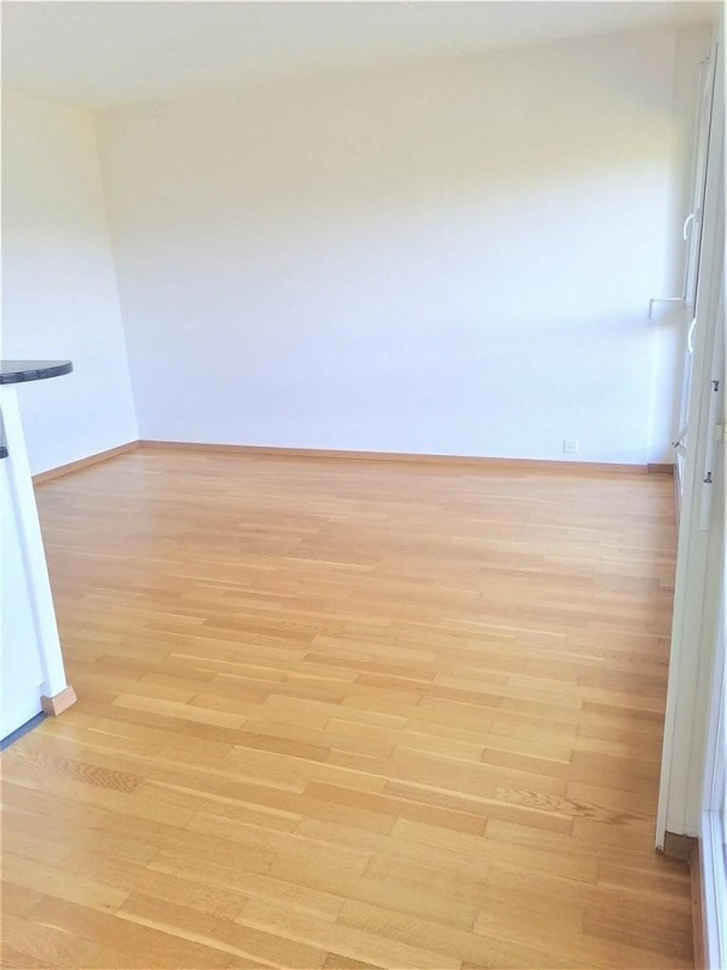 Gradelle - Above the Eaux-Vives Park - Photo 4 of 11