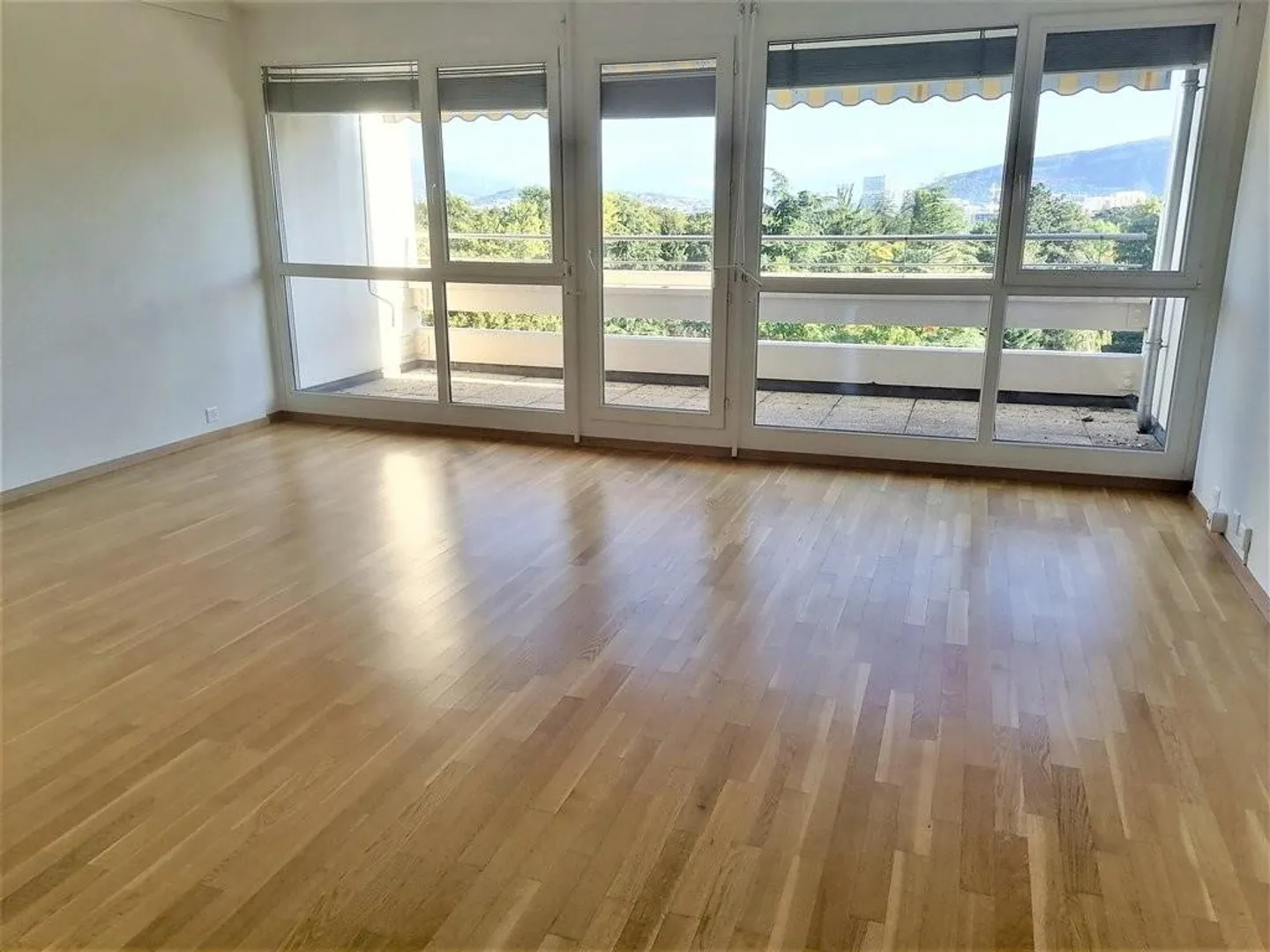 Gradelle - Above the Eaux-Vives Park - Photo 5 of 11