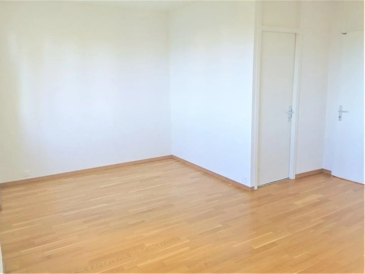 Gradelle - Above the Eaux-Vives Park - Photo 7 of 11