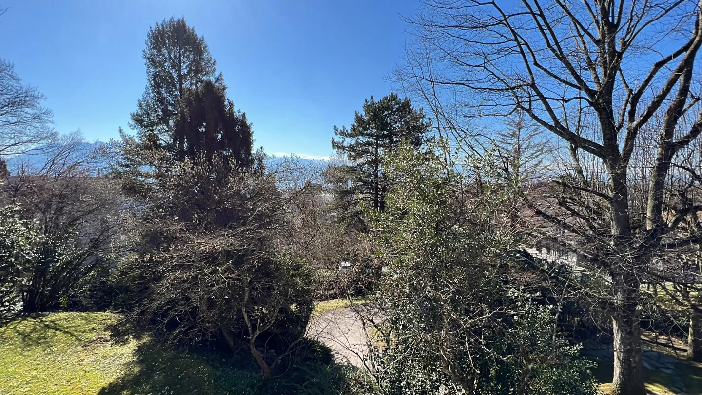 Magnifique Villa à Pully - Photo 14 sur 15