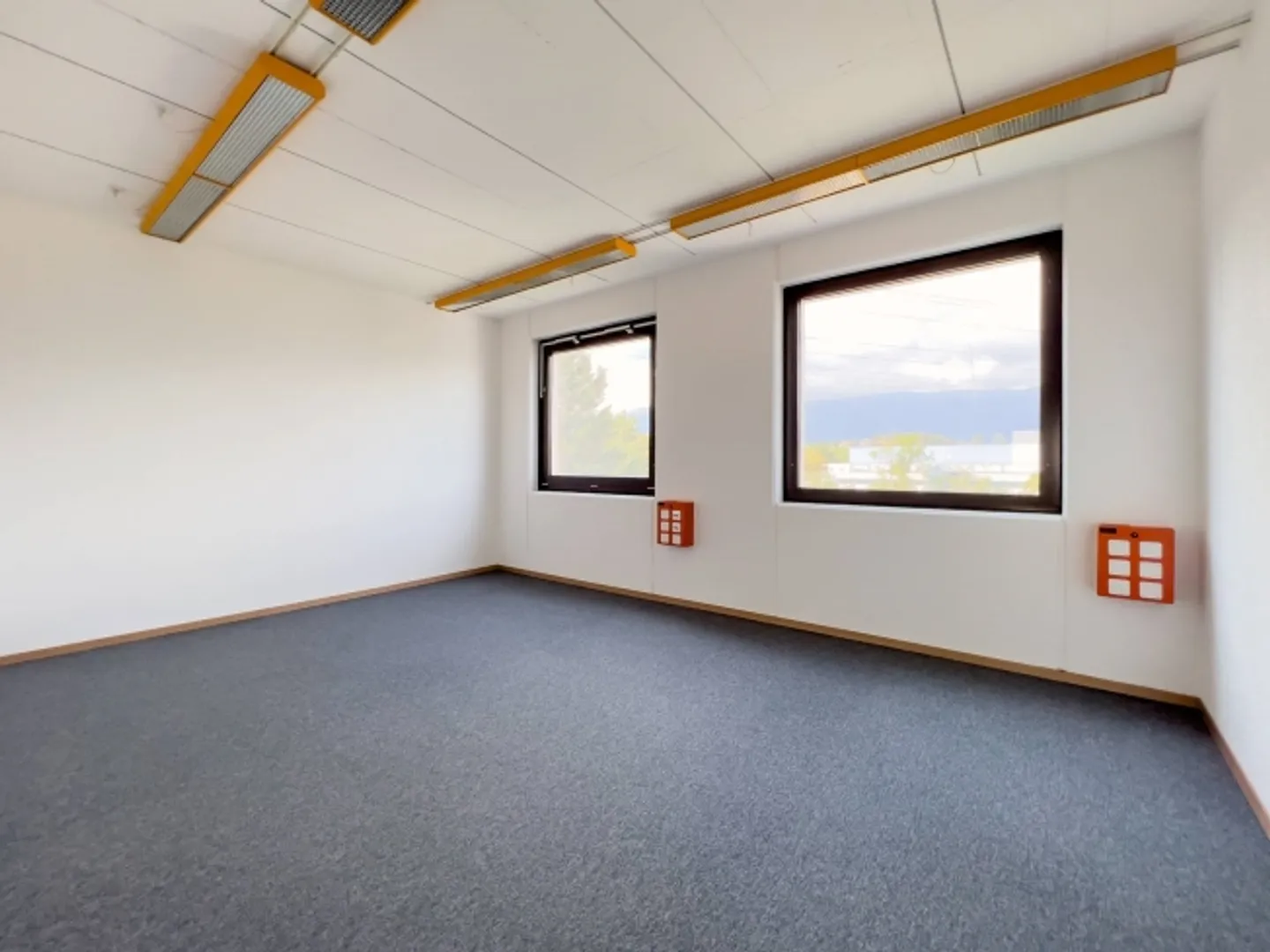 Laboratorio, Produzione, Officina di 420 m2 in affitto a Satigny - Foto 4 di 9