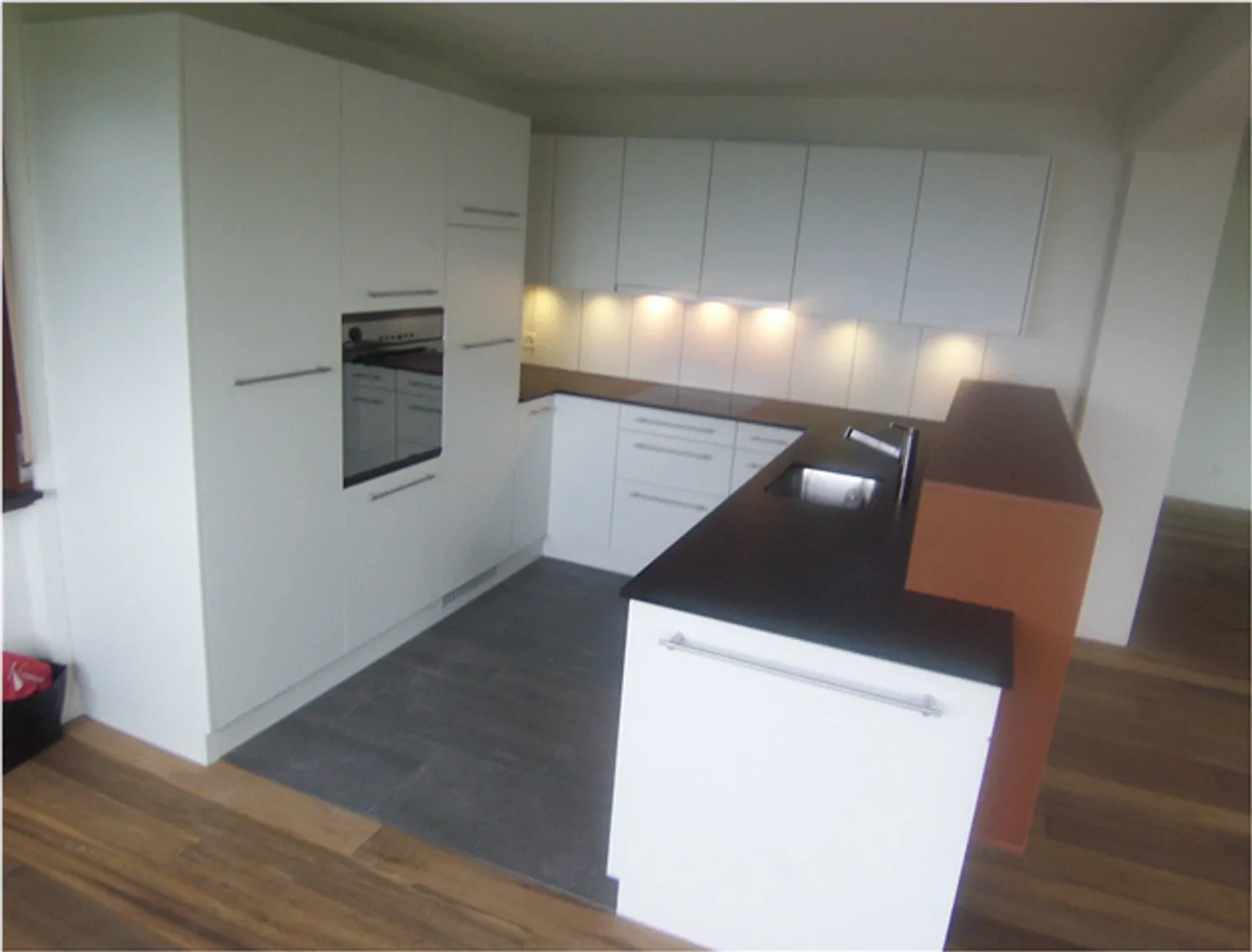 Maison individuelle avec grand jardin + vue sur le lac - Photo 2 sur 17