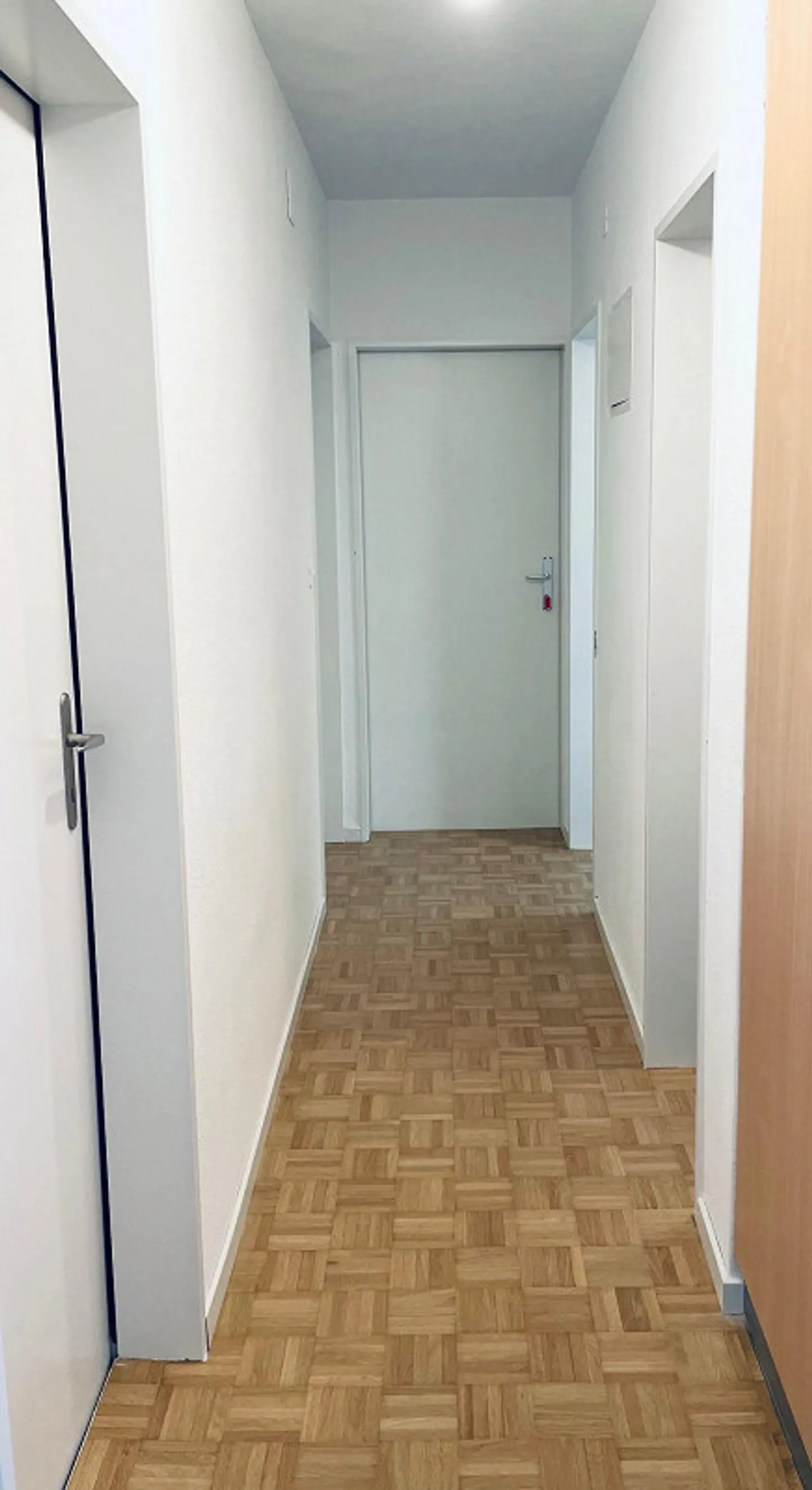 Vivere in campagna con vista – appartamento di 4,5 stanze appena ristrutturato - Foto 11 di 12