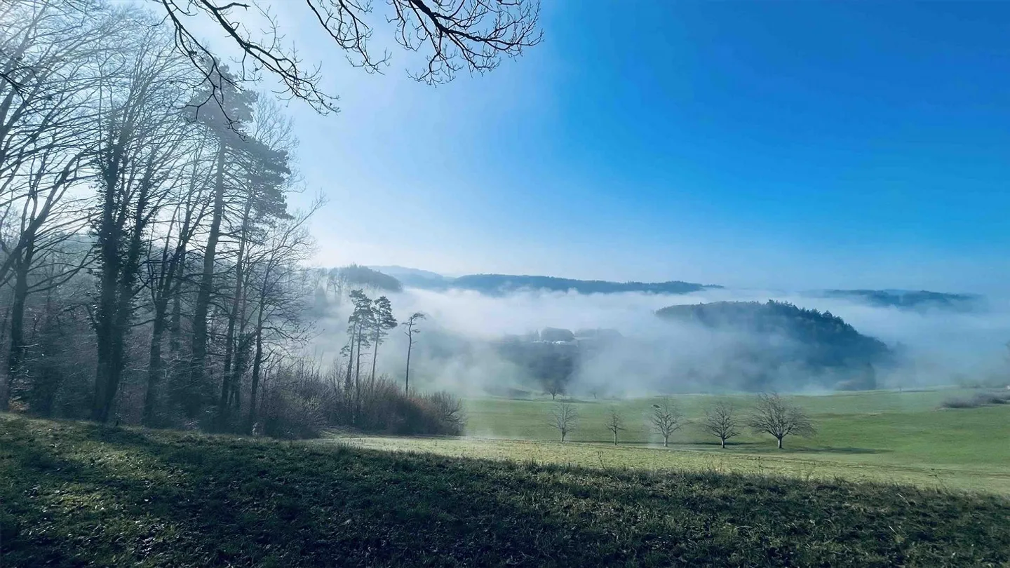 Vivere in campagna con vista – appartamento di 4,5 stanze appena ristrutturato - Foto 12 di 12