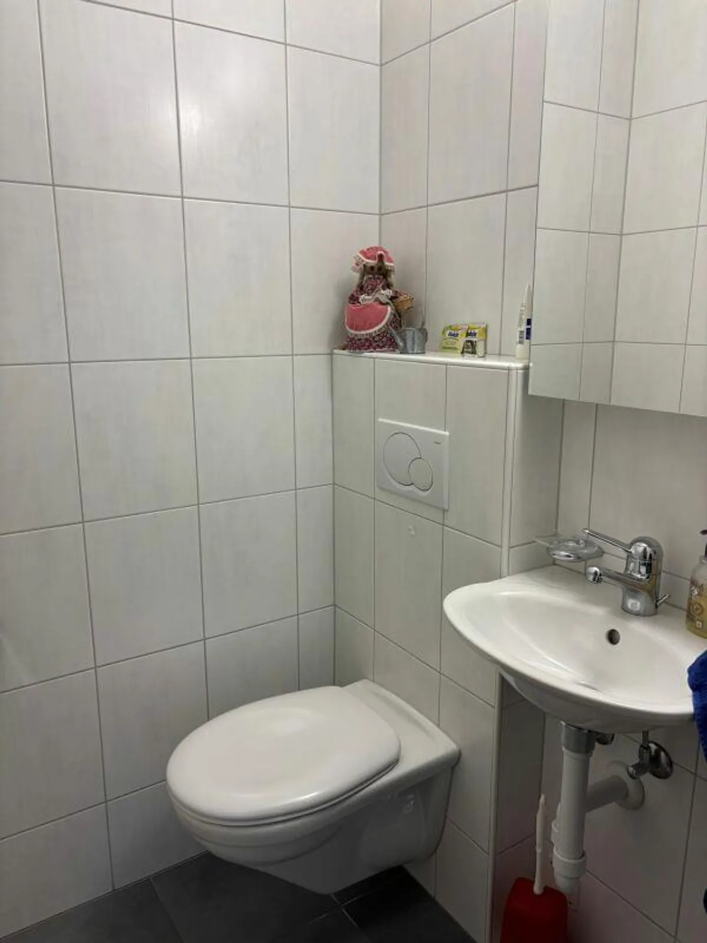 Appartamento affascinante di 3.5 stanze nel centro del villaggio di Pratteln - Foto 9 di 12
