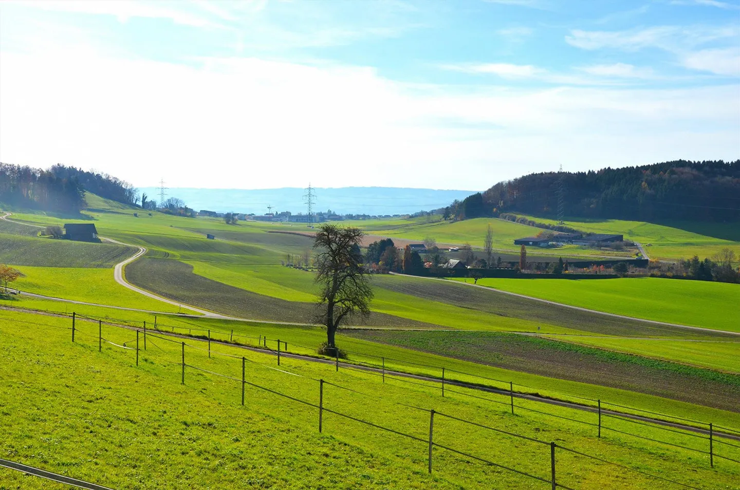 Occasione unica ad Aesch ZH - Foto 3 di 14