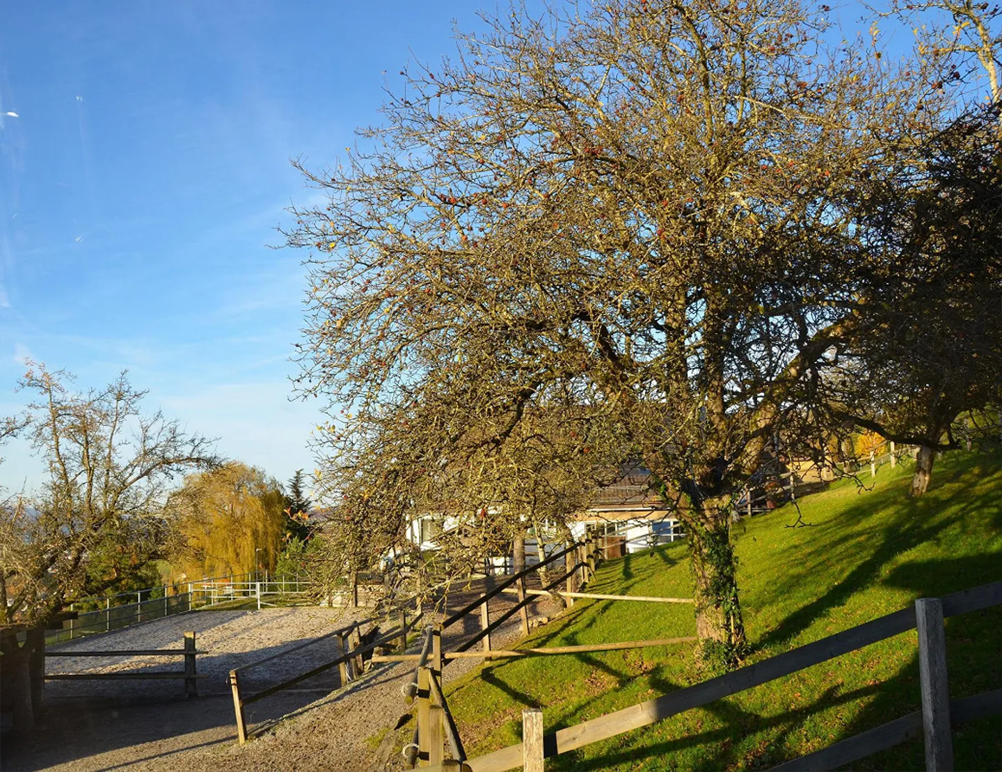 Occasione unica ad Aesch ZH - Foto 4 di 14