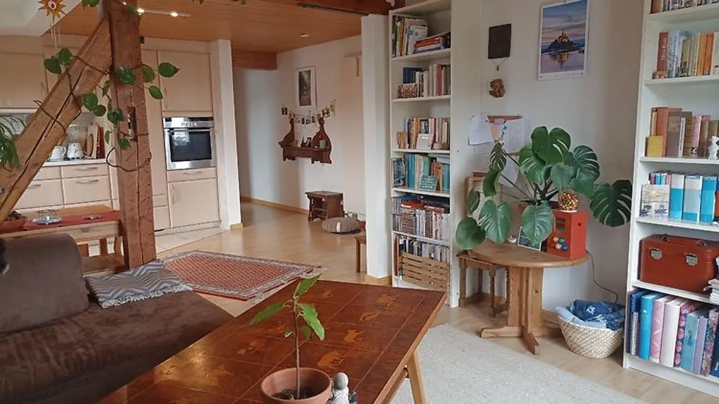 3½ ROOM APARTMENT IN STECKBORN (TG), FURNISHED, TEMPORARY - Photo 2 of 10