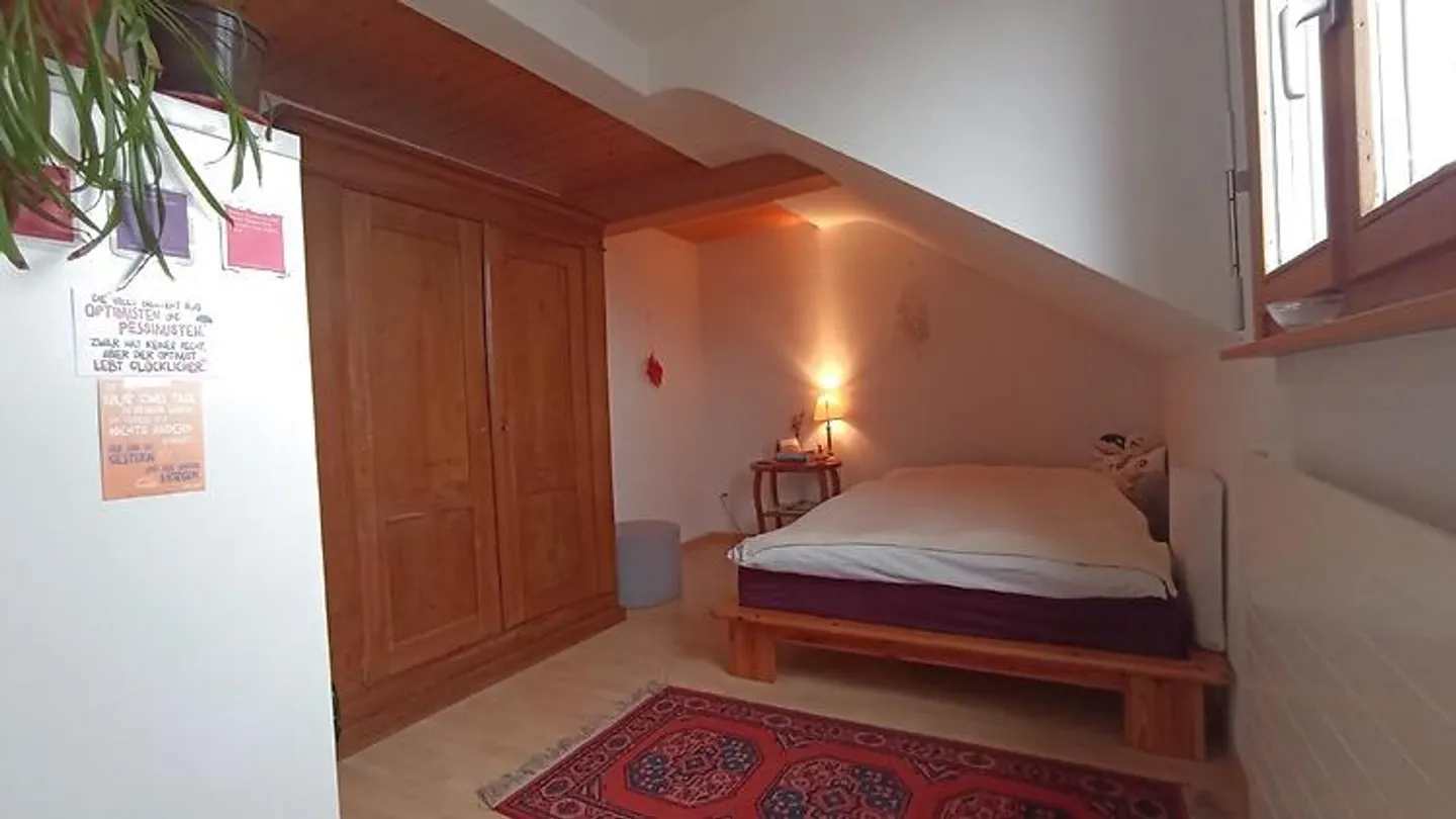 3½ ROOM APARTMENT IN STECKBORN (TG), FURNISHED, TEMPORARY - Photo 6 of 10