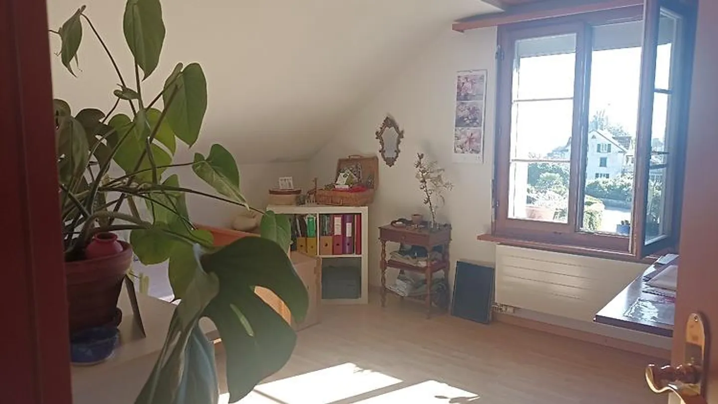 3½ ROOM APARTMENT IN STECKBORN (TG), FURNISHED, TEMPORARY - Photo 7 of 10