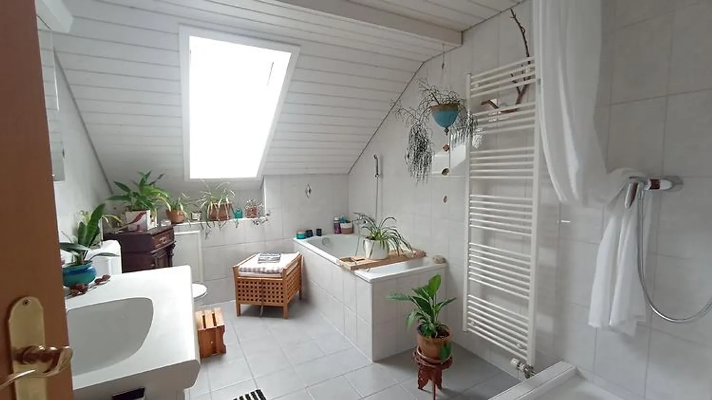 3½ ROOM APARTMENT IN STECKBORN (TG), FURNISHED, TEMPORARY - Photo 8 of 10