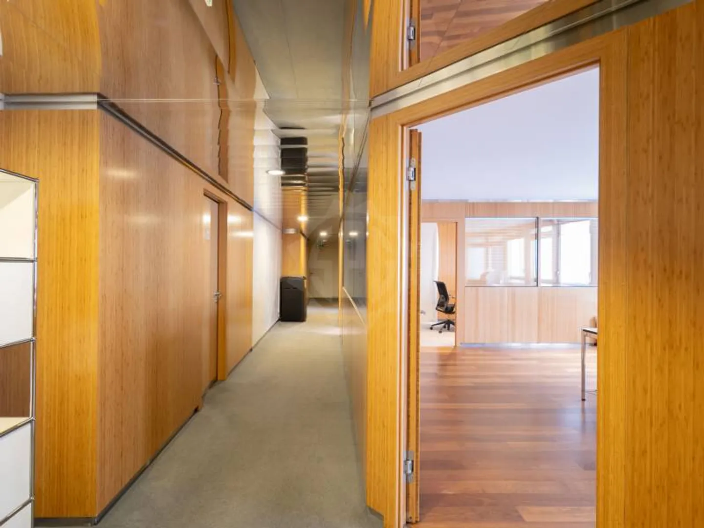 Offices with Plenty of Space - Geneva - Photo 4 of 11