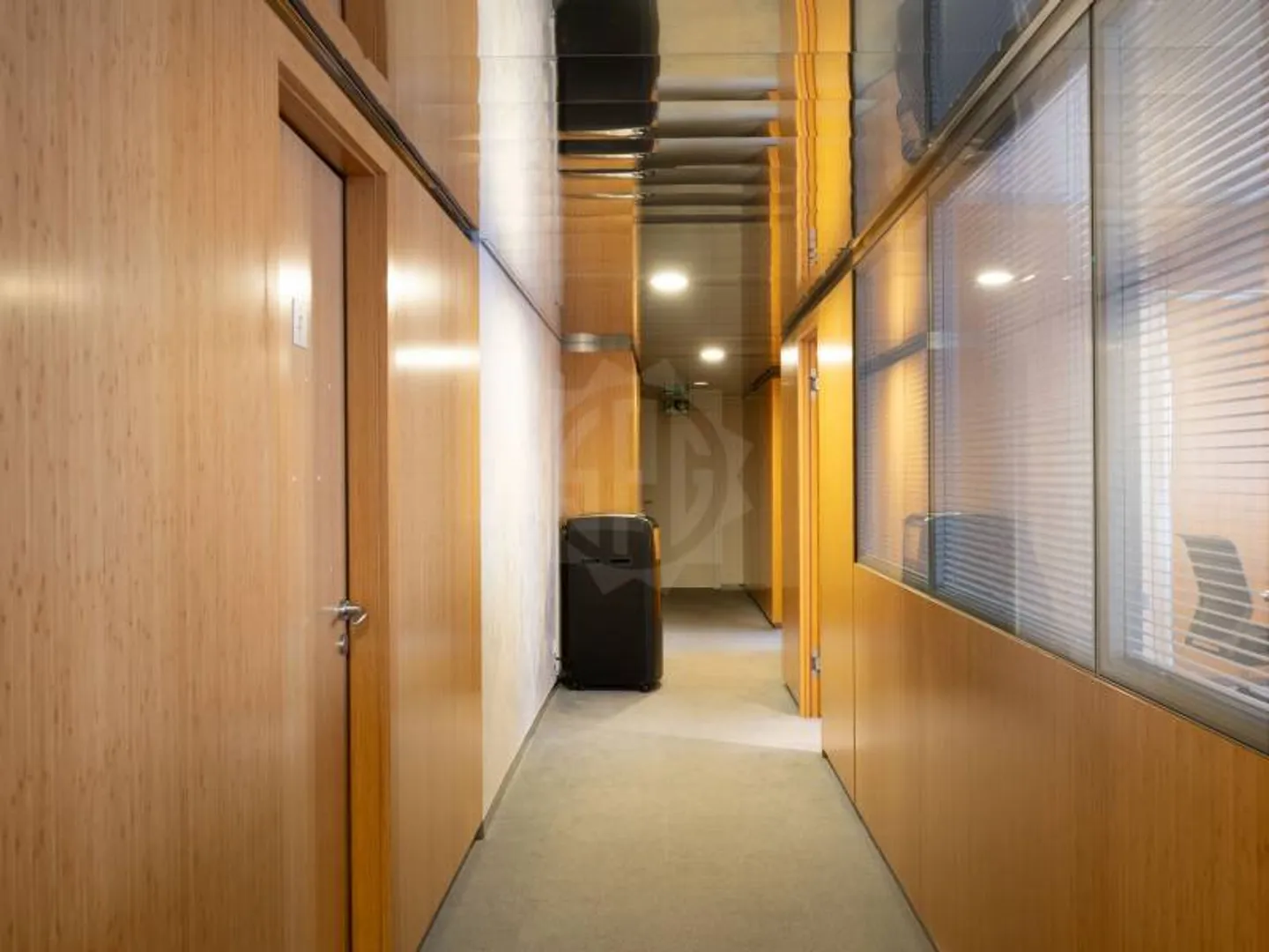 Offices with Plenty of Space - Geneva - Photo 7 of 11