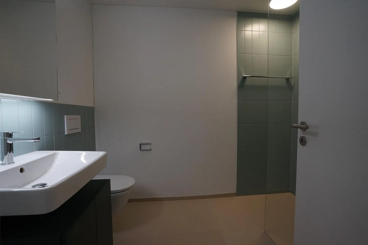 Living with lake view – First occupancy in the Tilia Boldern development - Photo 5 of 11