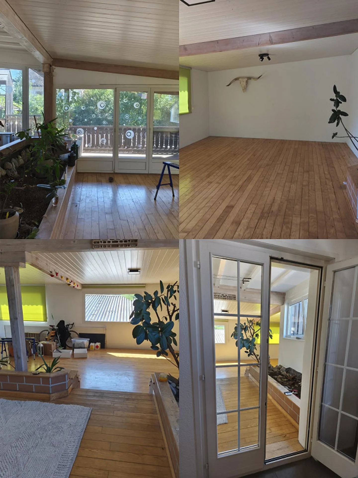 Apartment on a Farm - Photo 3 of 3