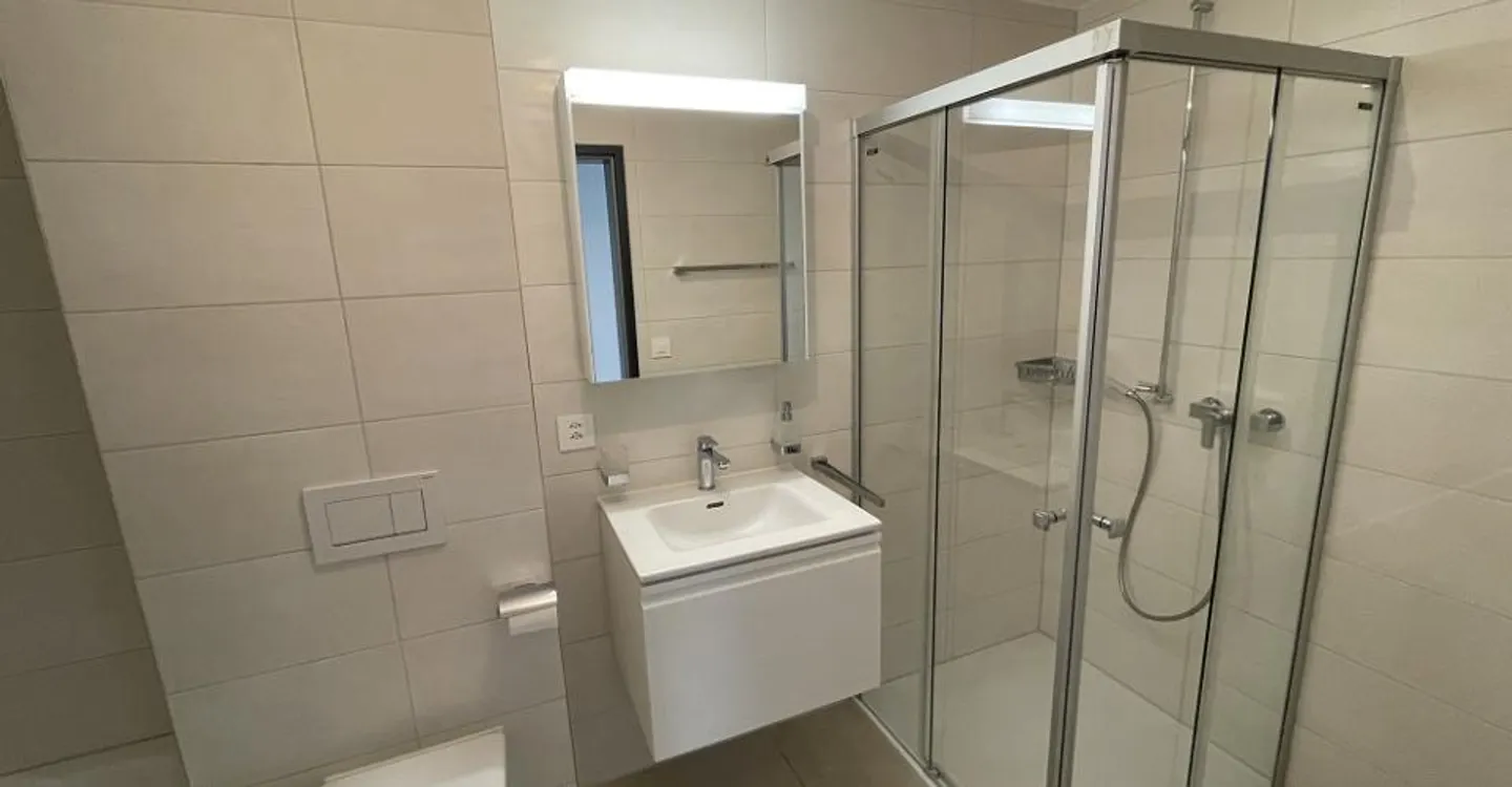 Appartamento 4.5 stanze - Foto 8 di 9