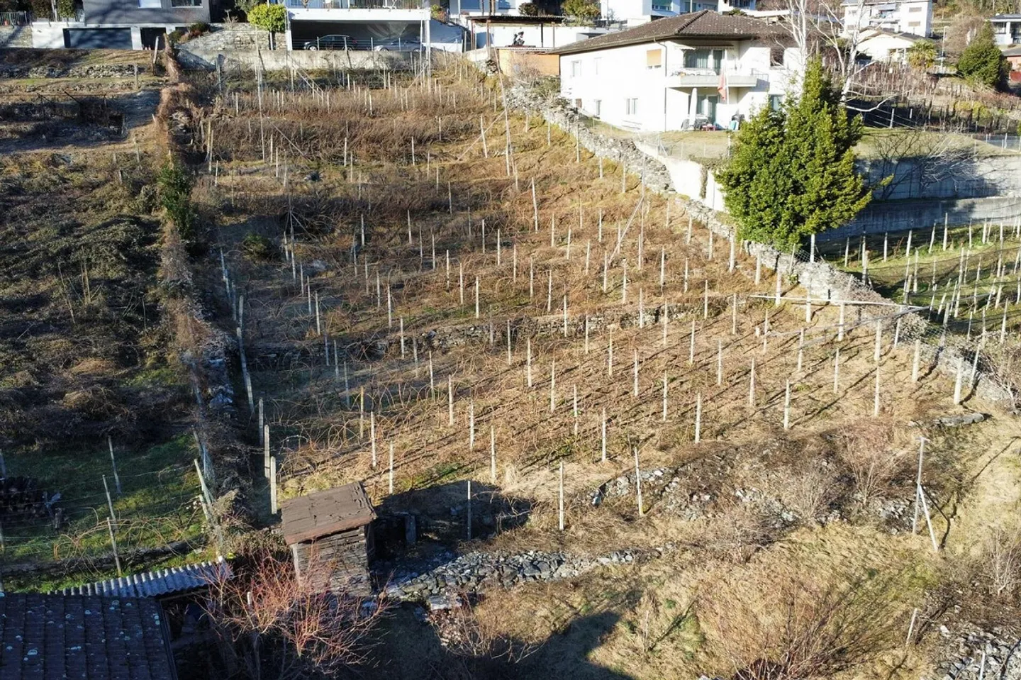 Appartement de nouvelle construction avec vue spectaculaire - Photo 12 sur 13