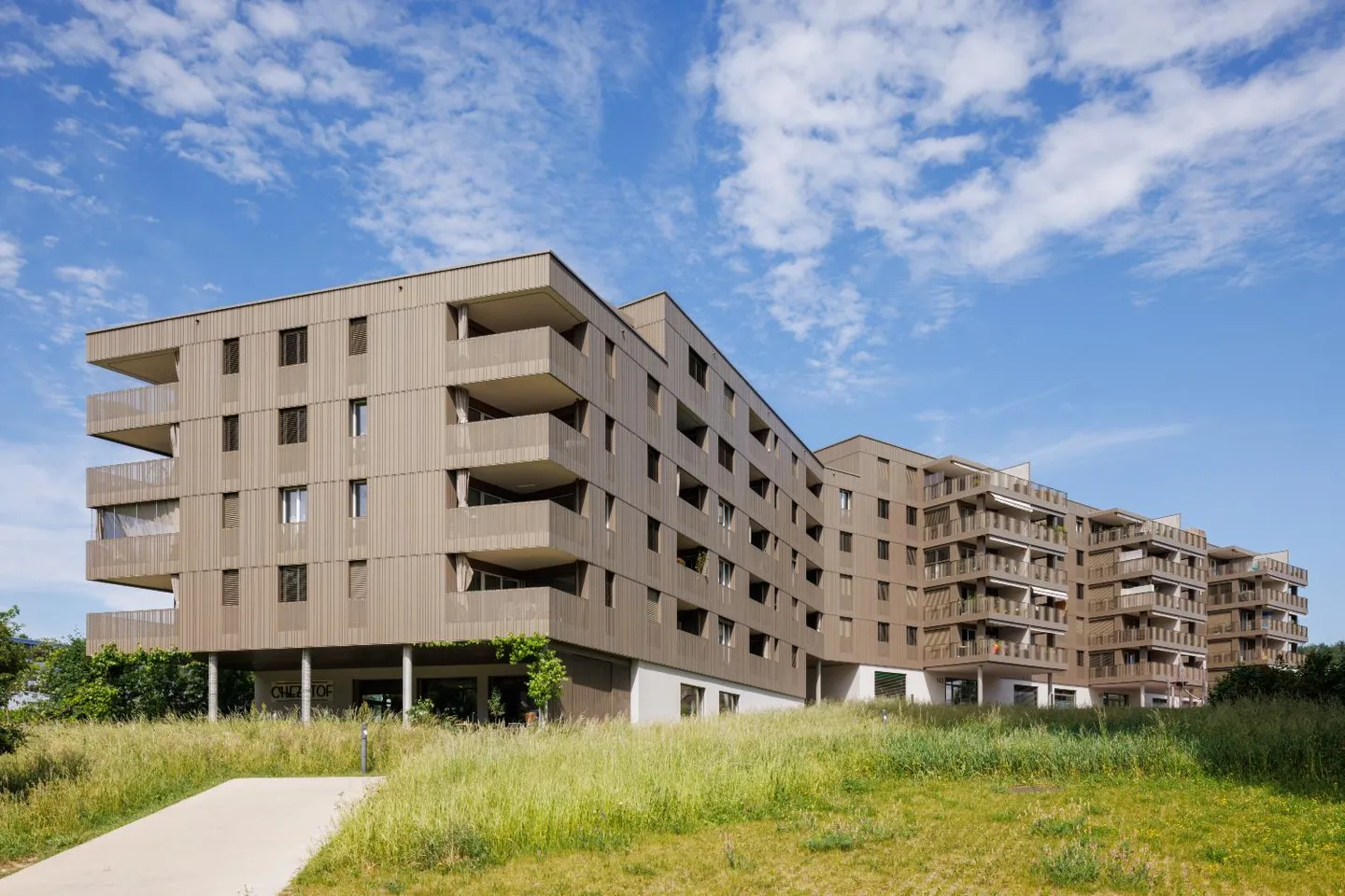 3.5 Room Apartment - Photo 3 of 7