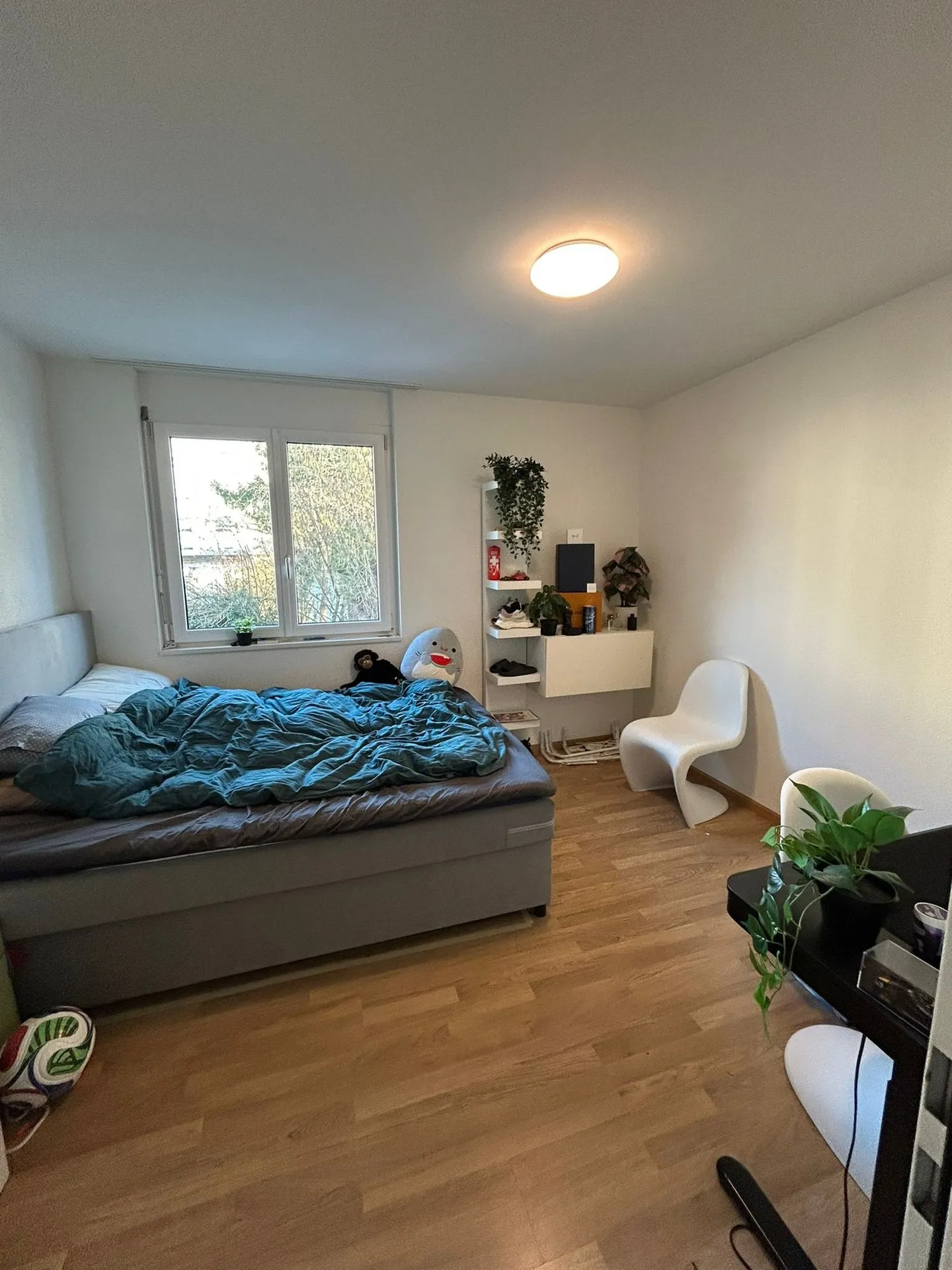 Modern 4.5-room apartment with large balcony in Dornach - Photo 3 of 9