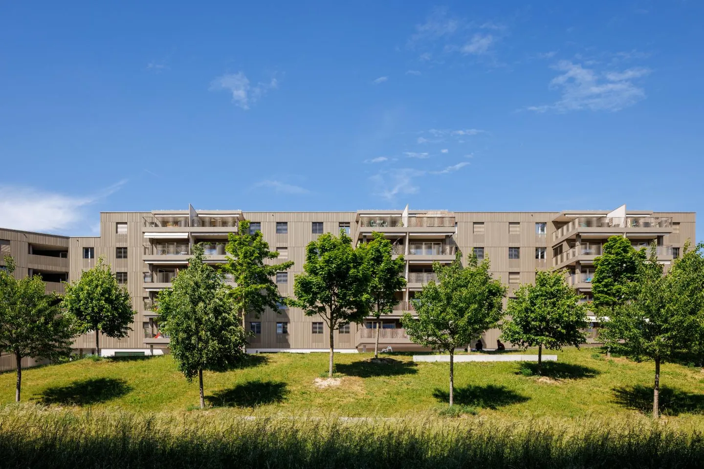 3.5 Room Apartment - Photo 7 of 7