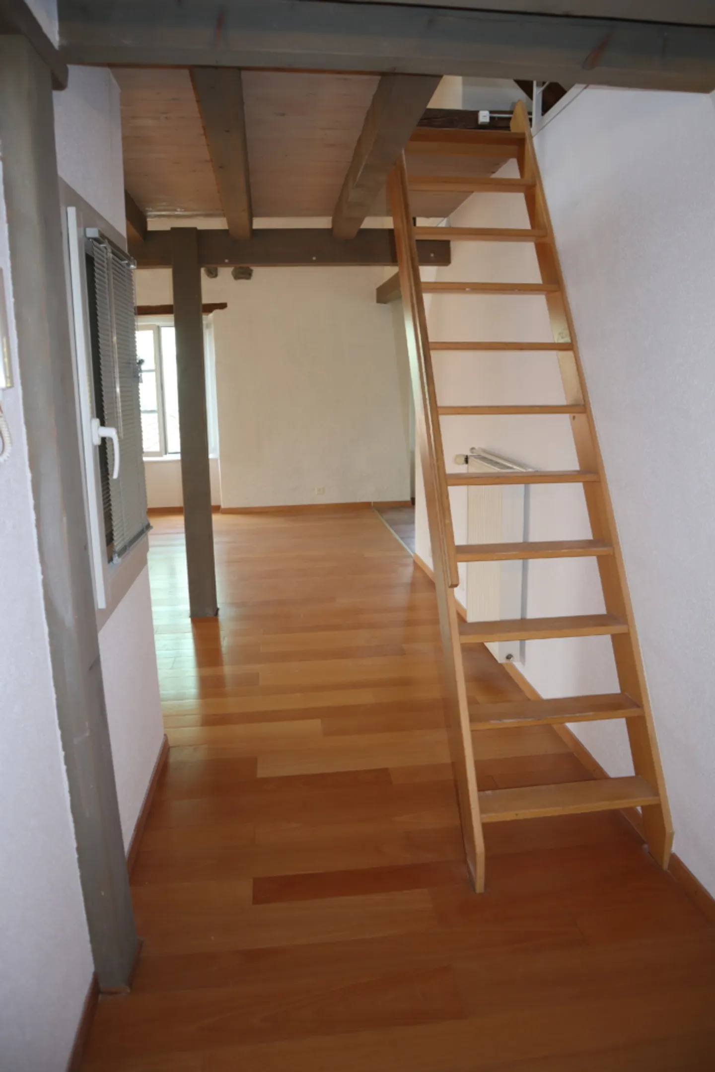 Appartement 5.5 pièces - Photo 4 sur 13