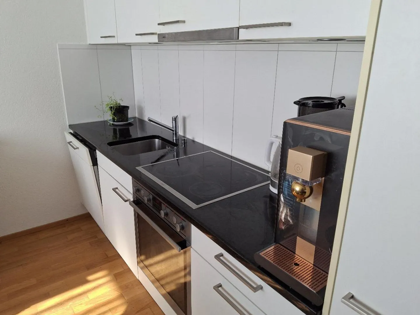 Modern 2.5 Room Ground Floor Apartment for Rent - Photo 3 of 7