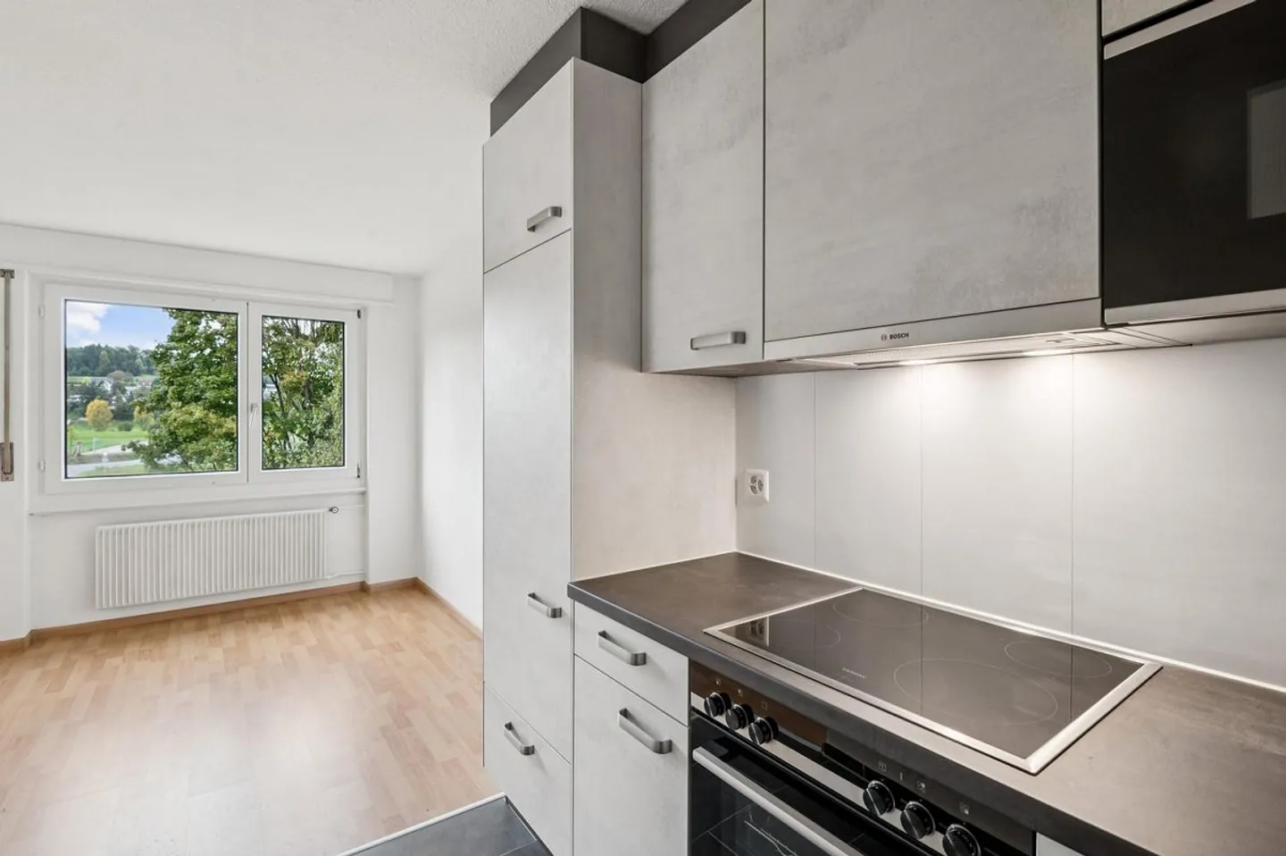 First occupancy after renovation! - Photo 4 of 10