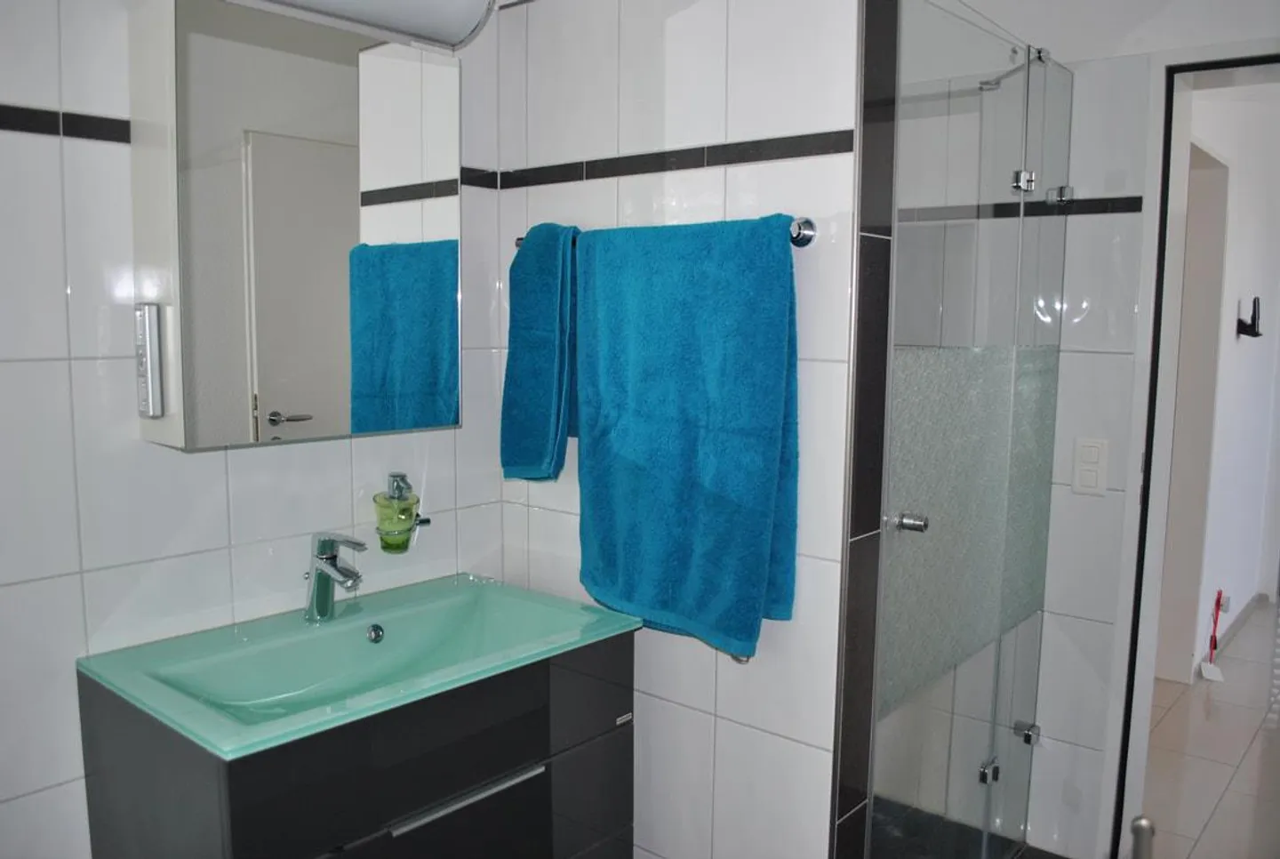 Spacious, modern single-family home in a quiet location in Züberwangen - Photo 14 of 19