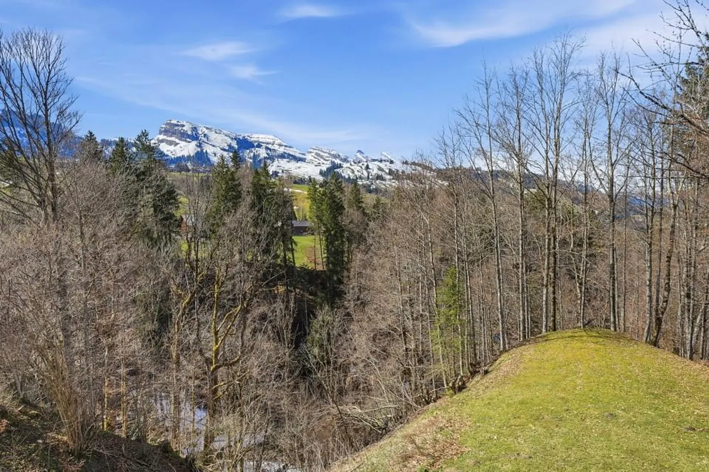 Chalet mit Garten in Wildhaus - Foto 5 von 13