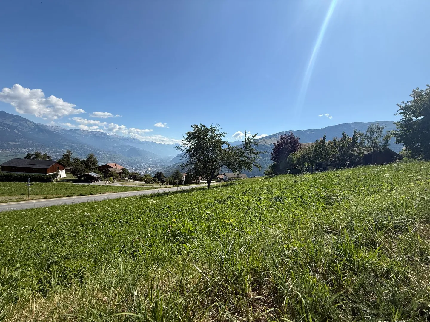 RARE! Plot with Sunshine all Year Round - Photo 3 of 5