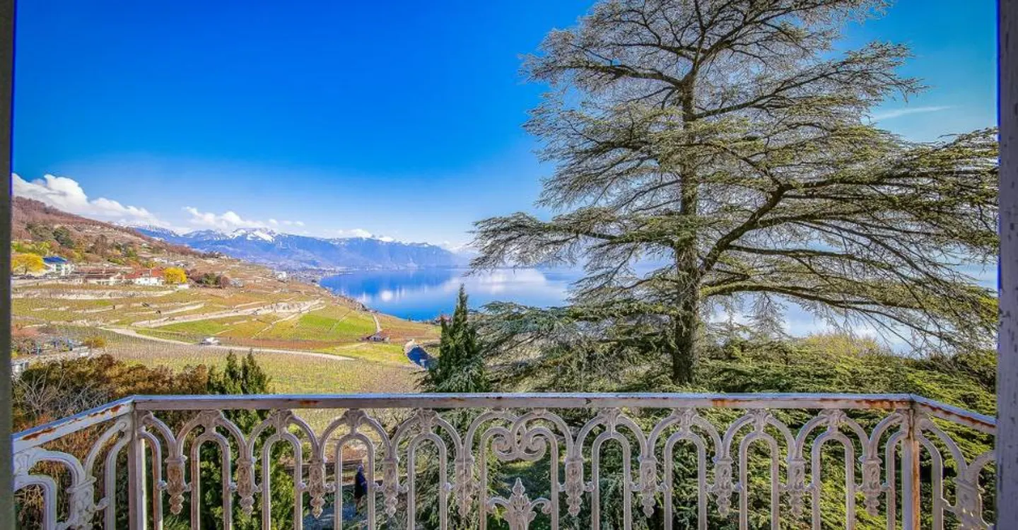 19th Century Master House Bordering the Lavaux Vineyards - Photo 6 of 8