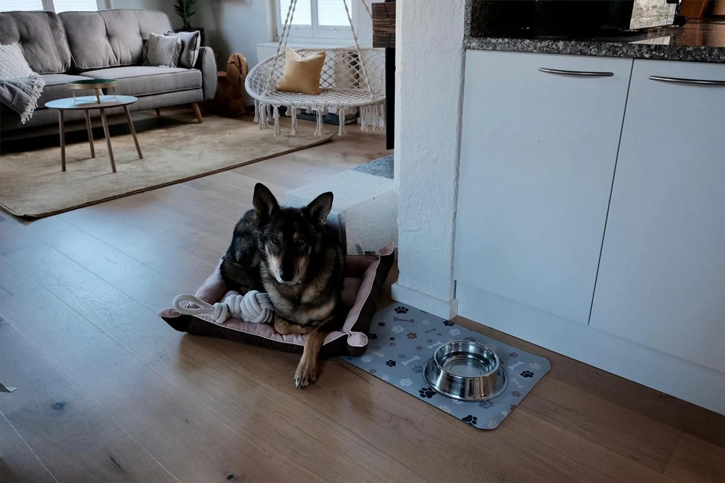 Charming furnished house with lake view in Zurich | Parking - limited - Photo 23 of 28