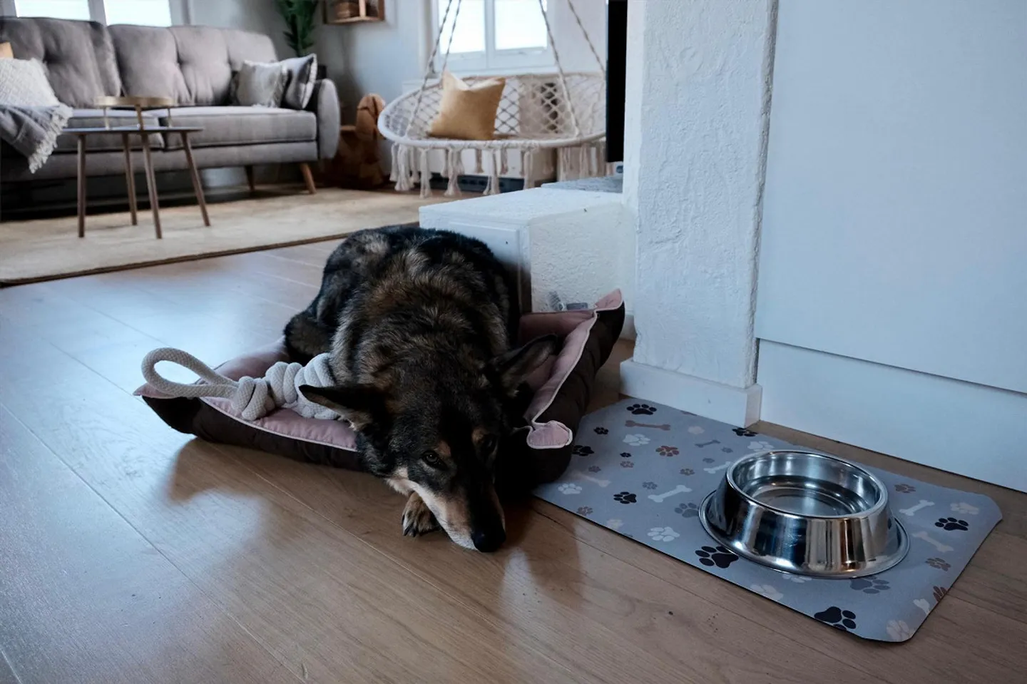 Charming furnished house with lake view in Zurich | Parking - limited - Photo 25 of 28