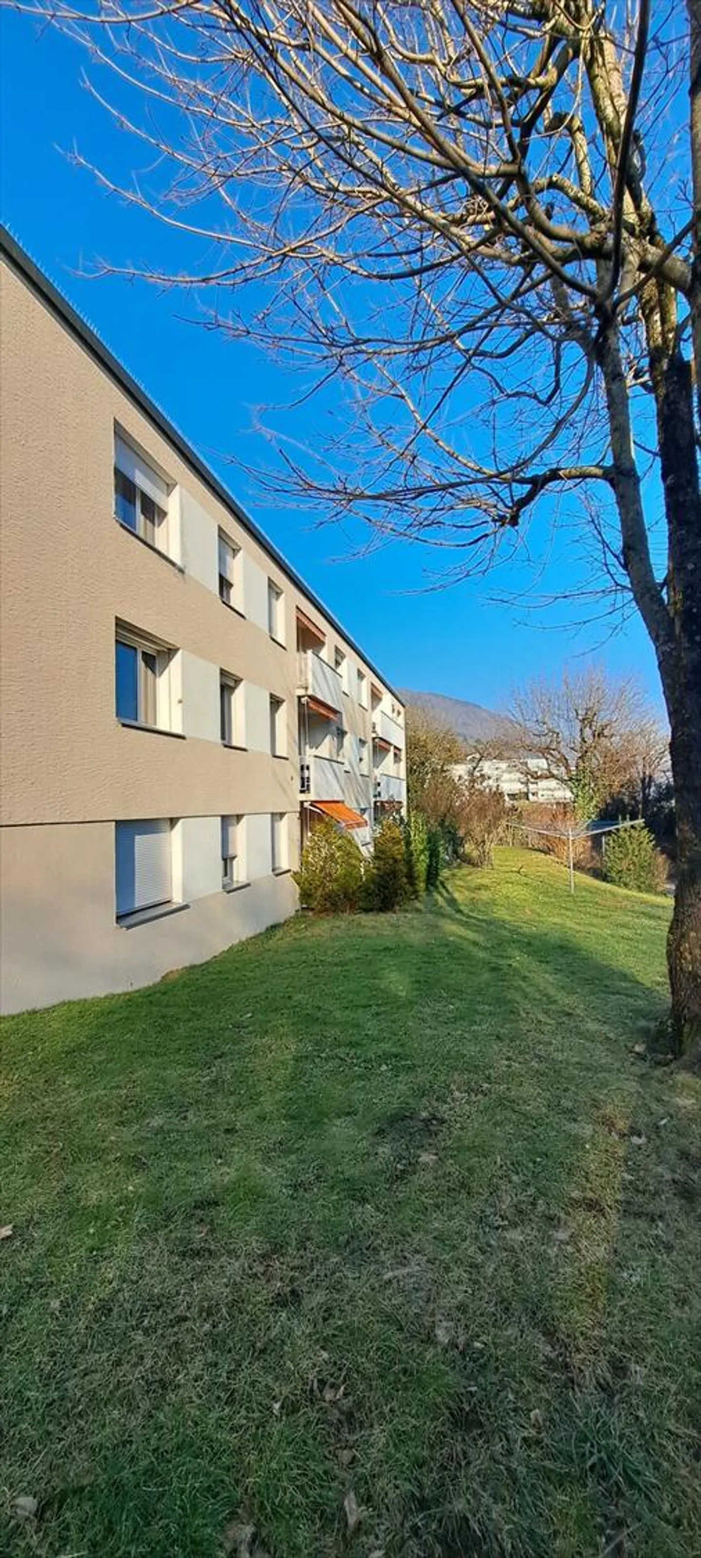 Appartamento 3 locali - Foto 6 di 8