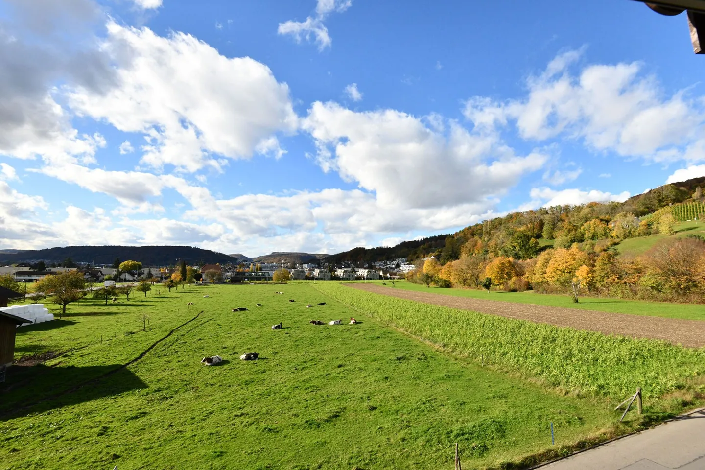 Spacious 4.5 Room Apartment in Kirchdorf - Photo 9 of 9