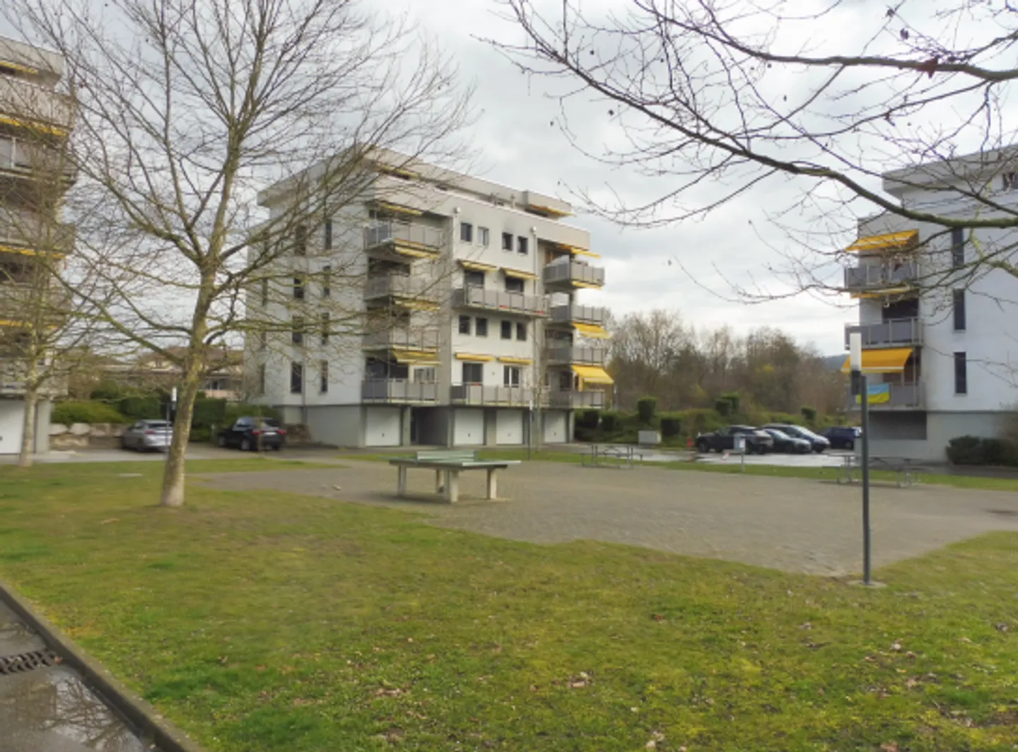 Incantevole appartamento di 2,5 stanze in affitto - Foto 1 di 6