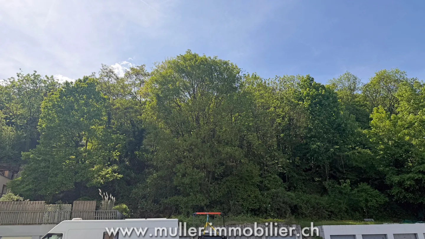 Renovierte 3,5-Zimmer-Wohnung mit Balkon in Monthey - Foto 9 von 12