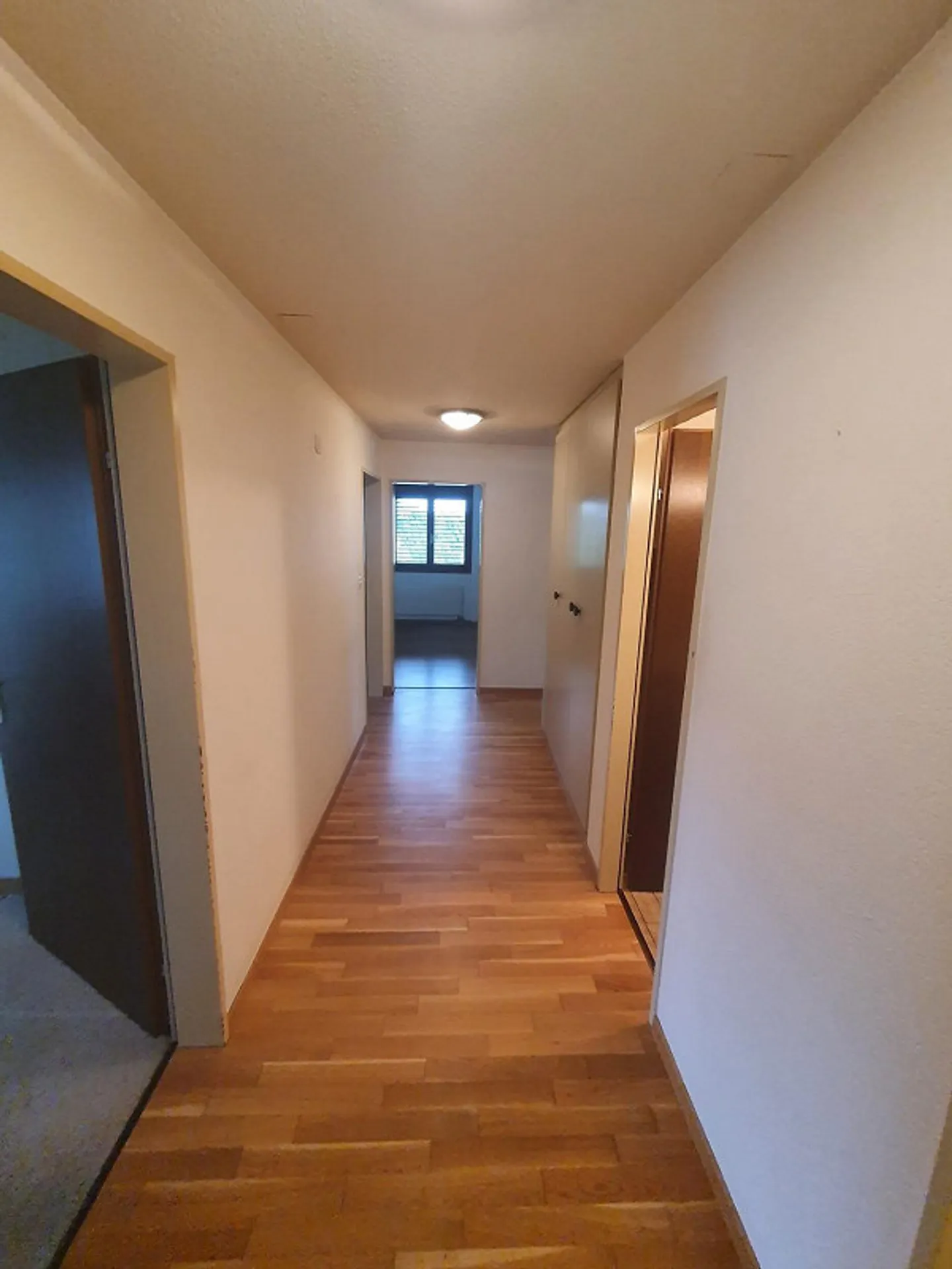 Una casa per sentirsi bene a Flawil - Foto 5 di 13