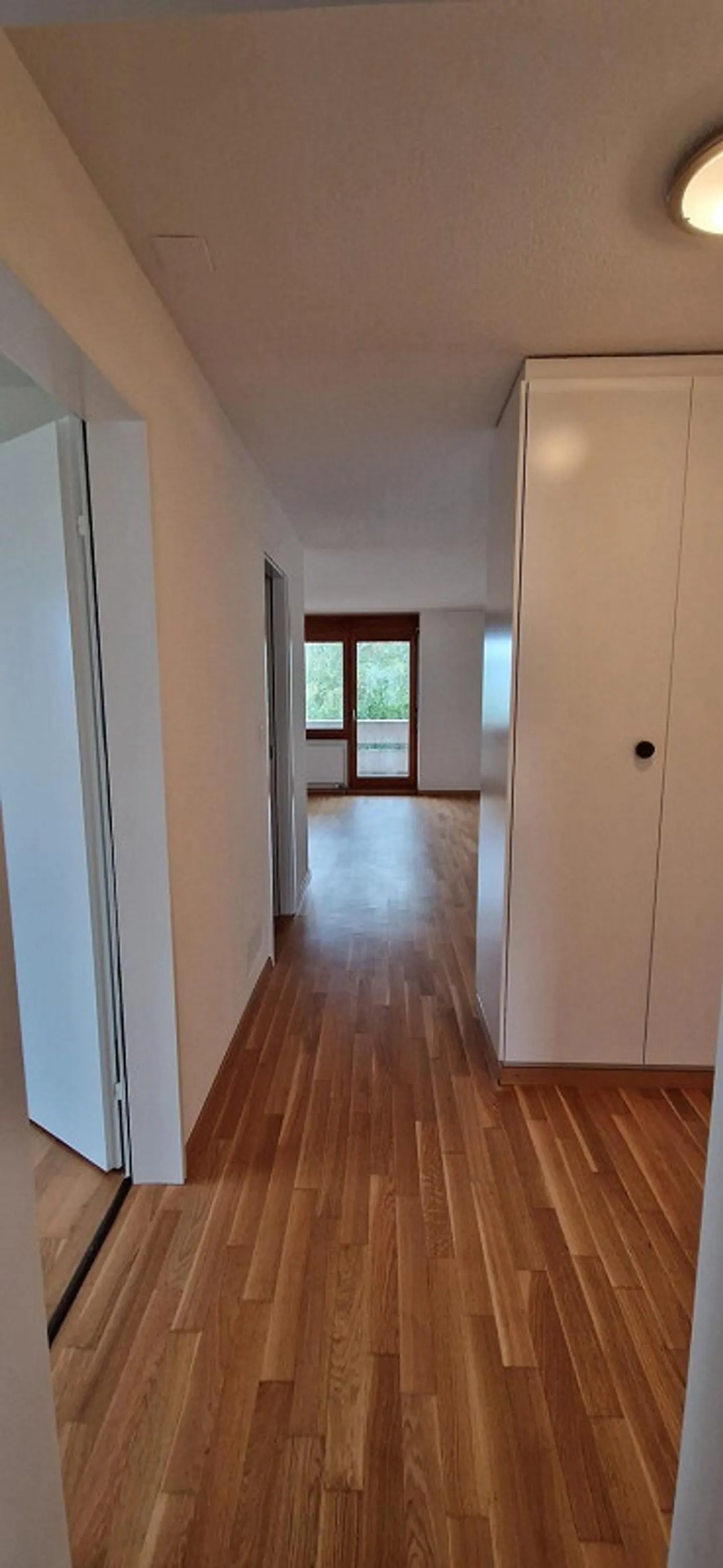 Una casa per sentirsi bene a Flawil - Foto 6 di 13